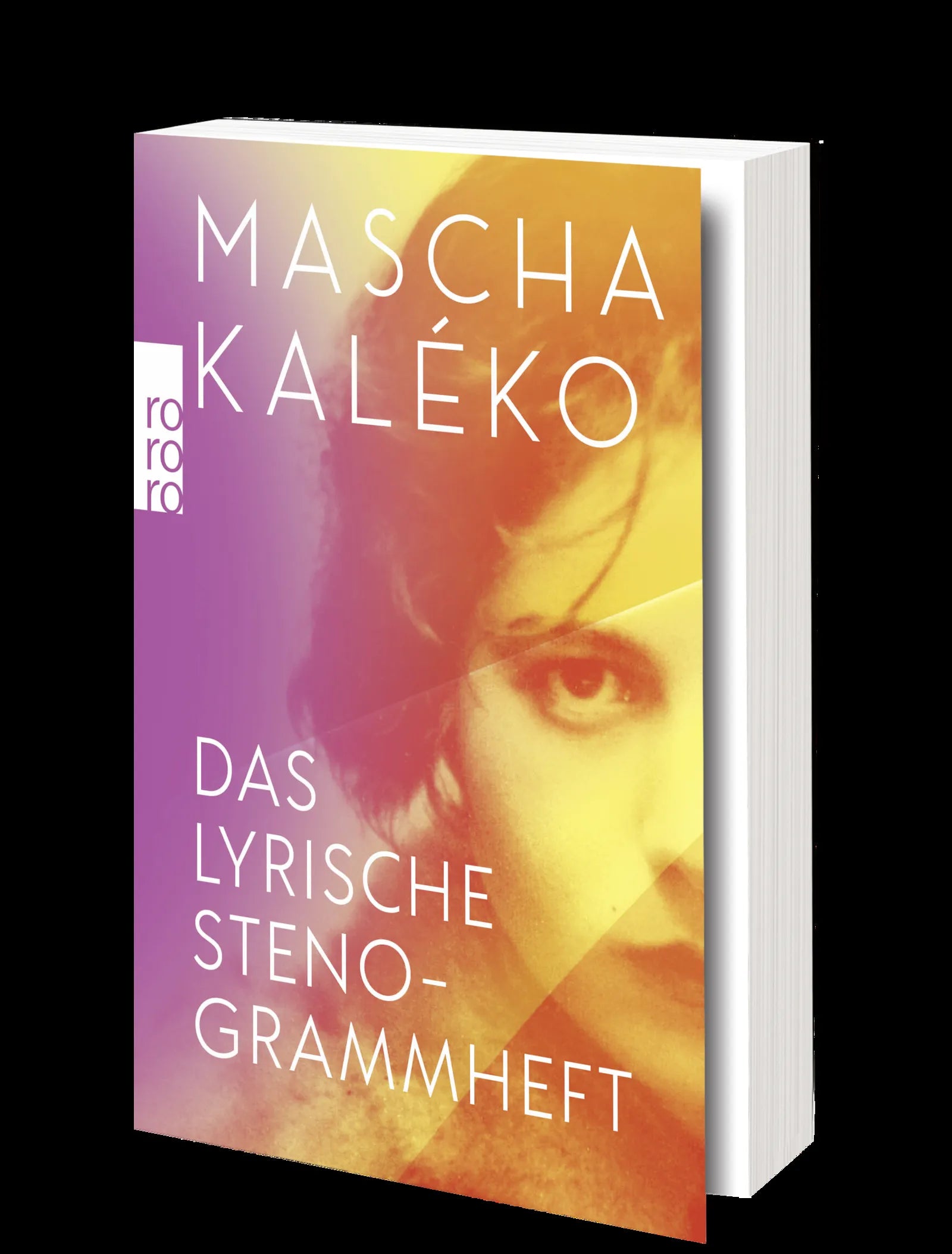 Produktansicht: Das lyrische Stenogrammheft / Kleines Lesebuch für Große (Taschenbuch)