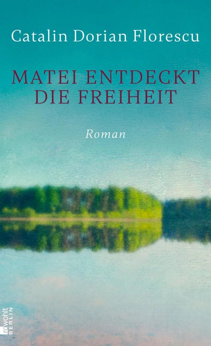 Cover: Matei entdeckt die Freiheit (E-Book) von Catalin Dorian Florescu