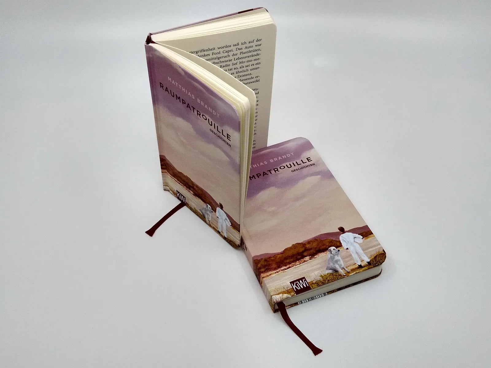 Produktansicht: Raumpatrouille (Gebundene Ausgabe)