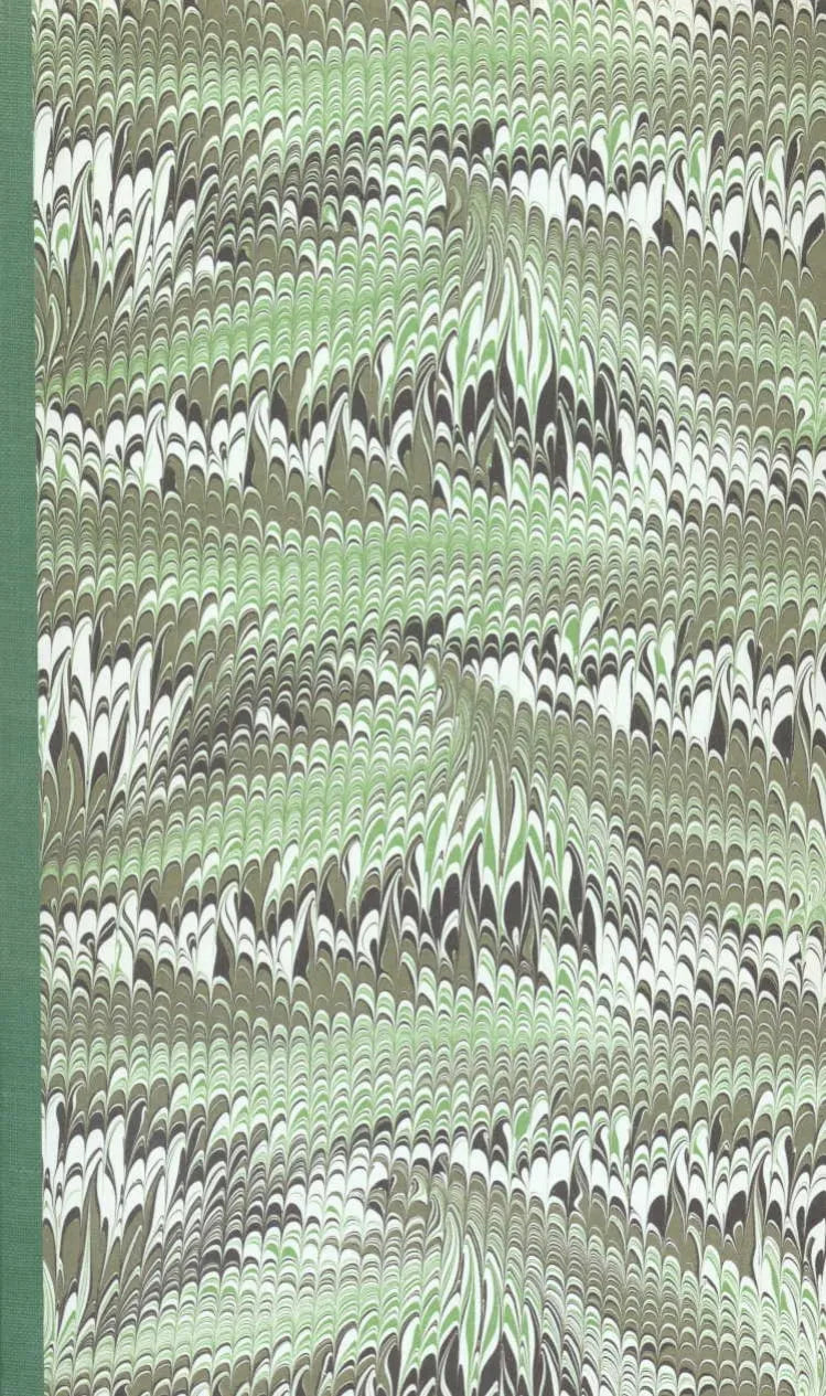 Buchcover von 'Mausoleum' - Gebundene Ausgabe von Hans Magnus Enzensberger