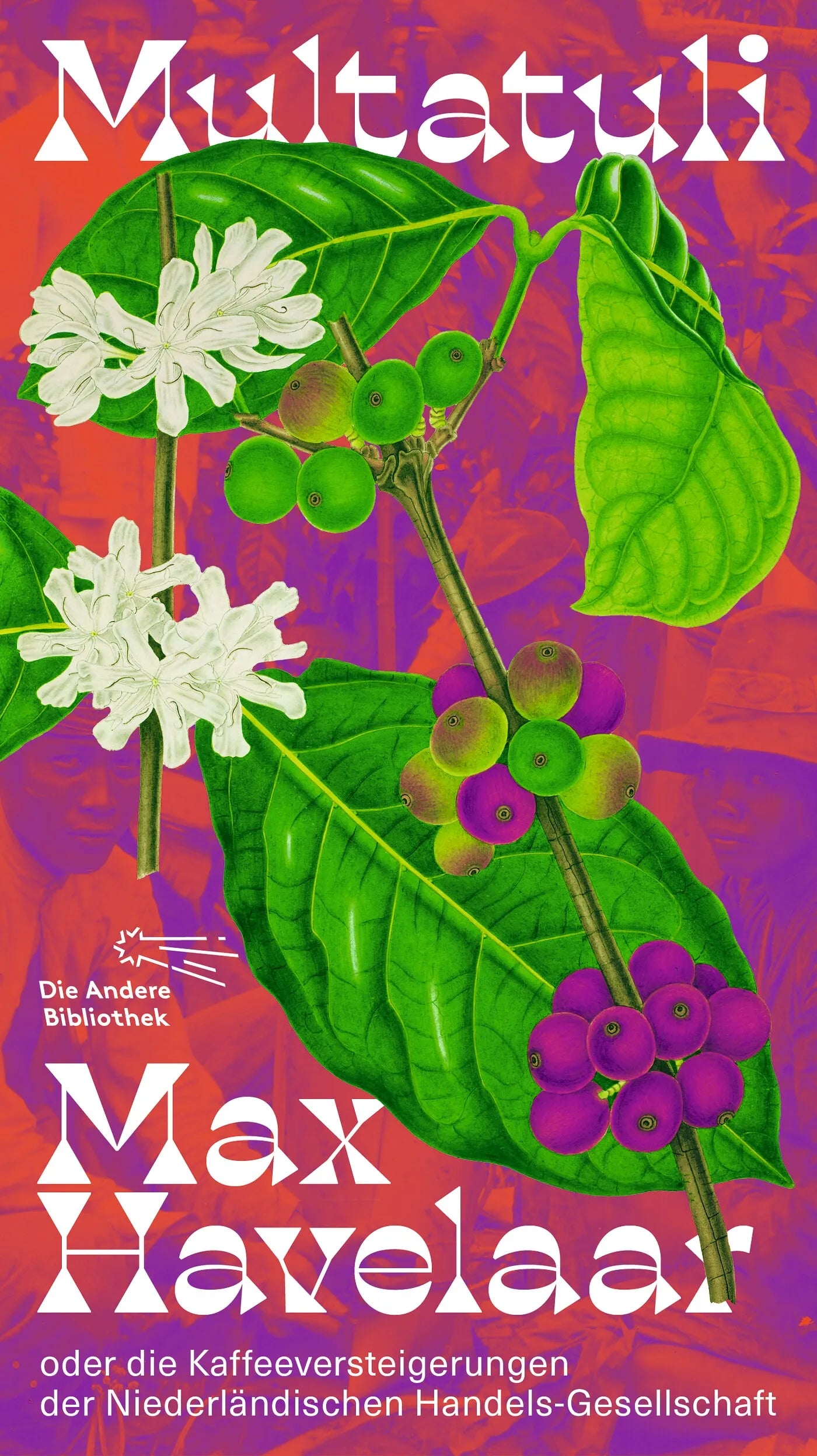 Cover: Max Havelaar (Hardcover) von Multatuli