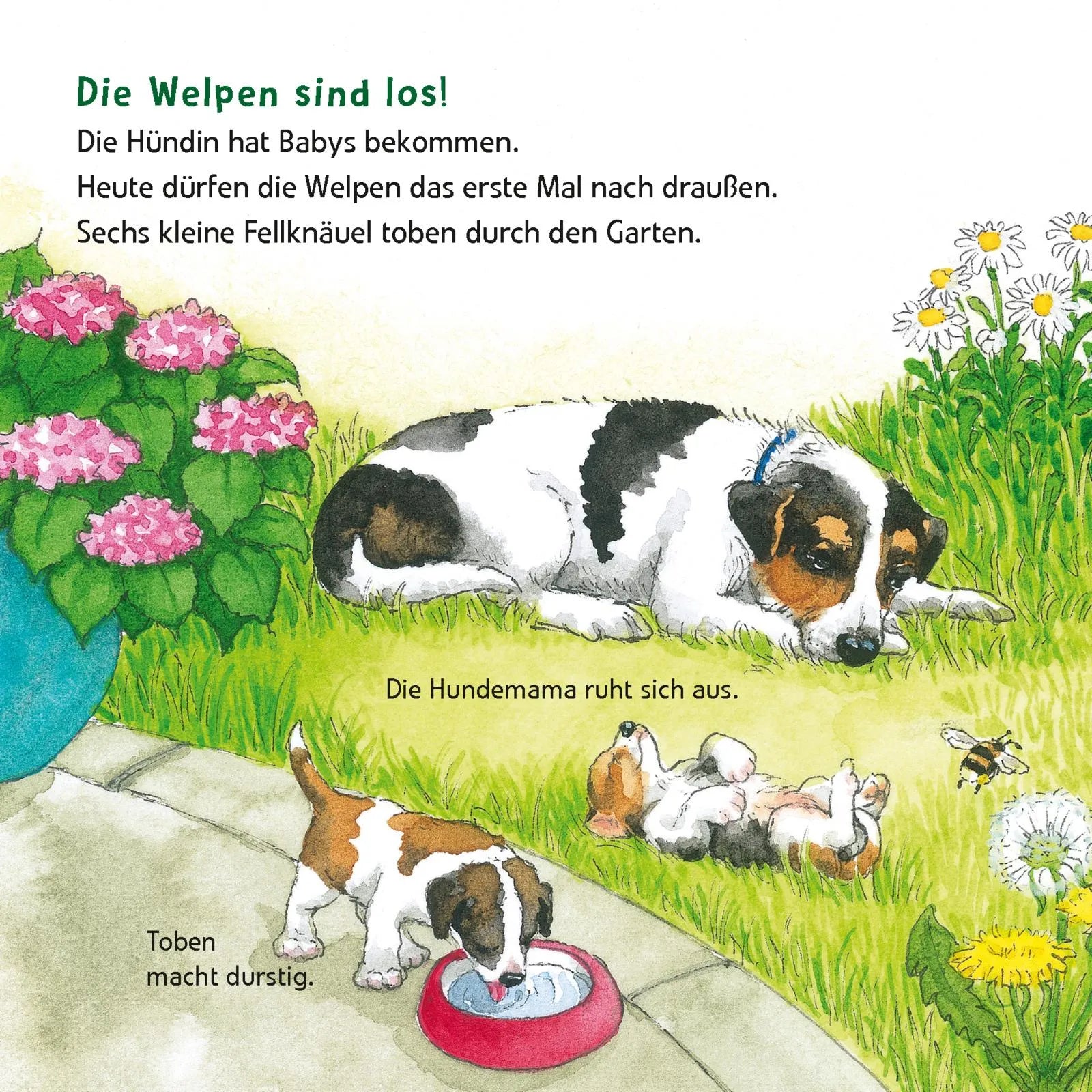 Abbildung von 'Maxi Pixi 463: Entdecke die Tierkinder'