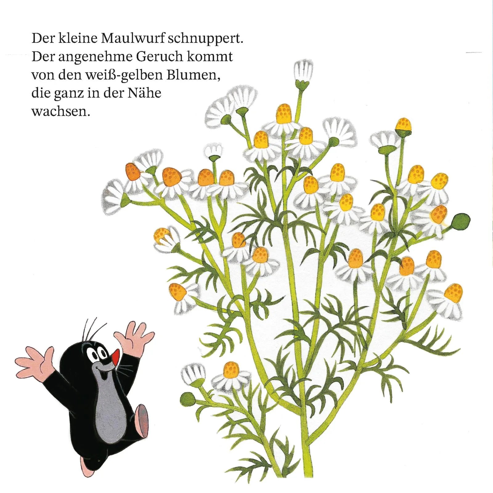 Zdeněk Miler - Maxi Pixi 468: Ein Tag mit dem kleinen Maulwurf
