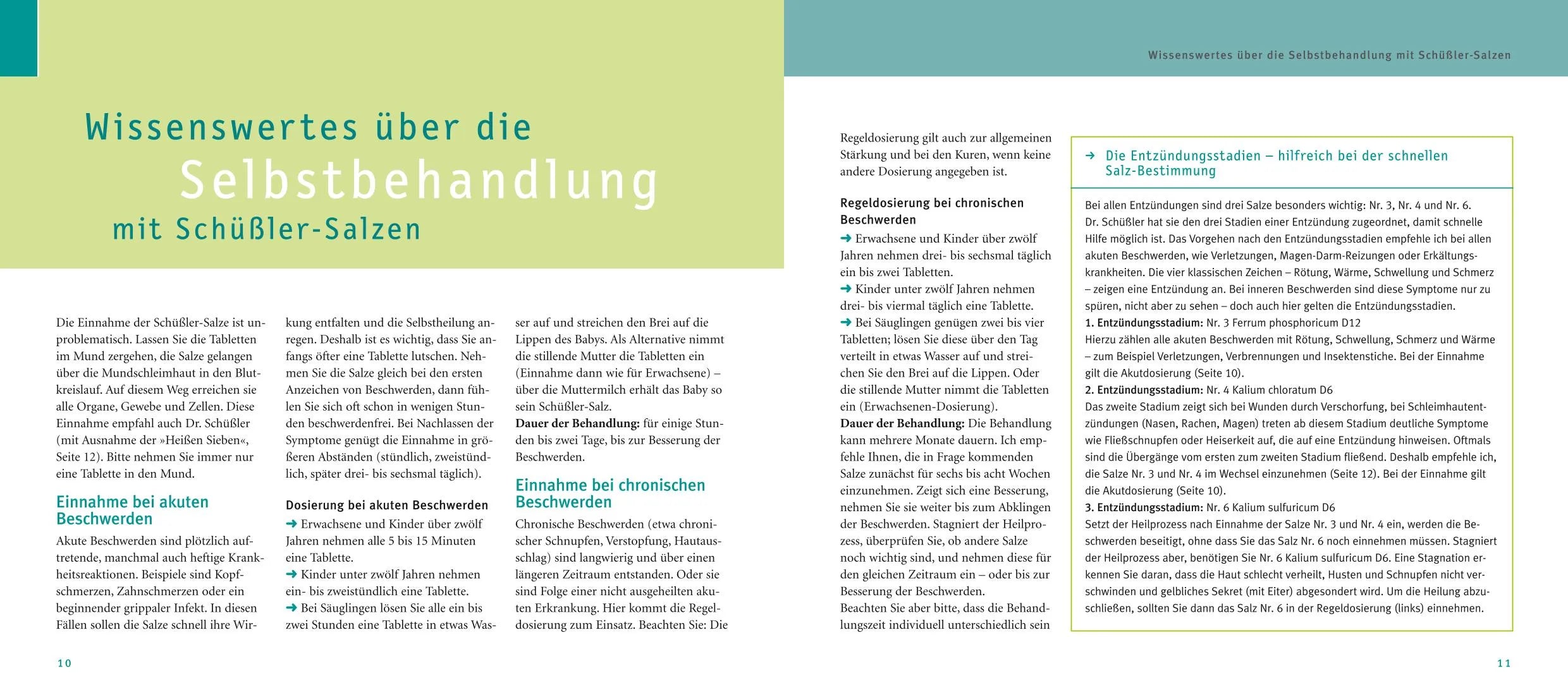 Abbildung von 'Maxi-Quickfinder Schüßler-Salze'