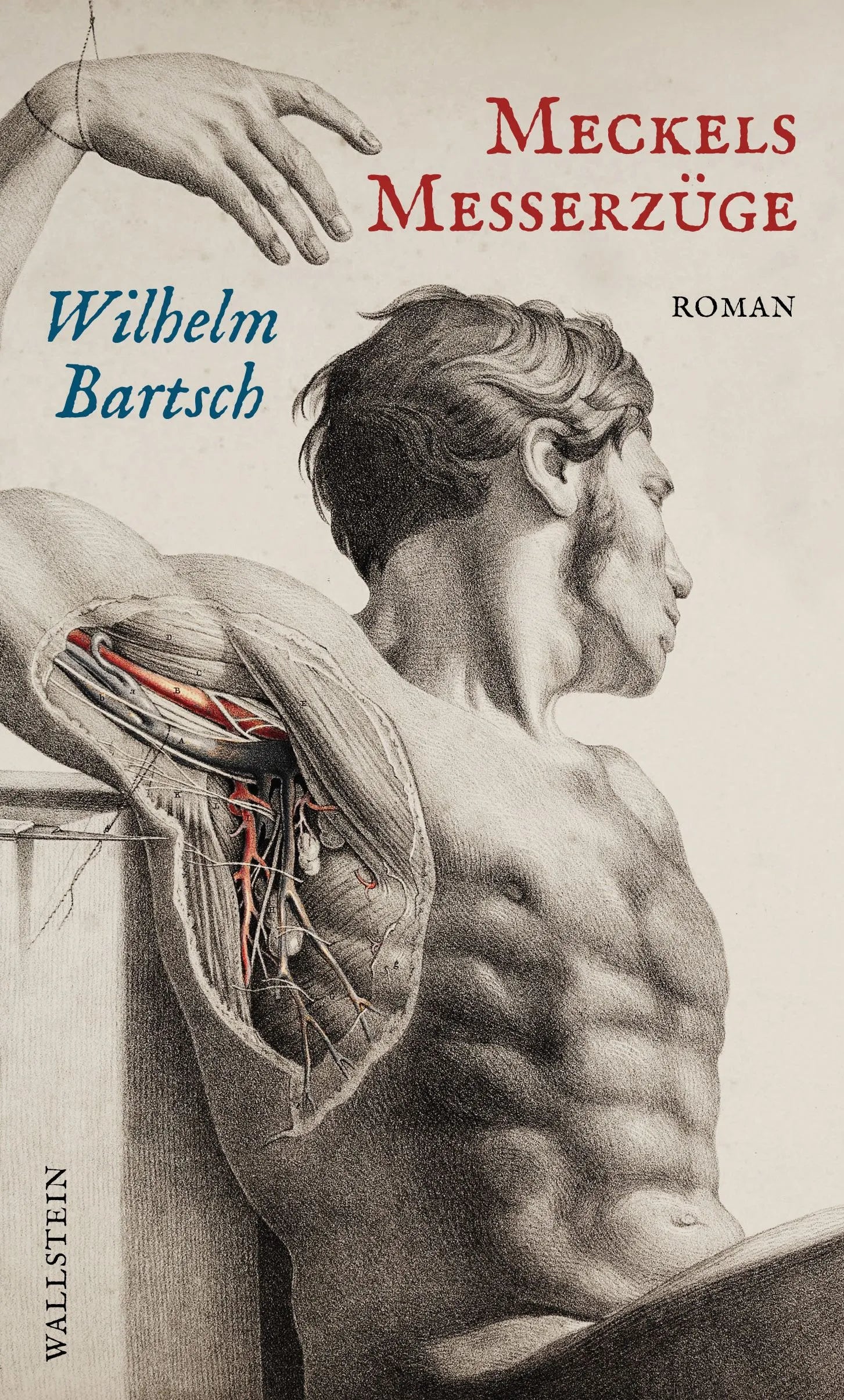 Cover: Meckels Messerzüge (E-Book) von Wilhelm Bartsch