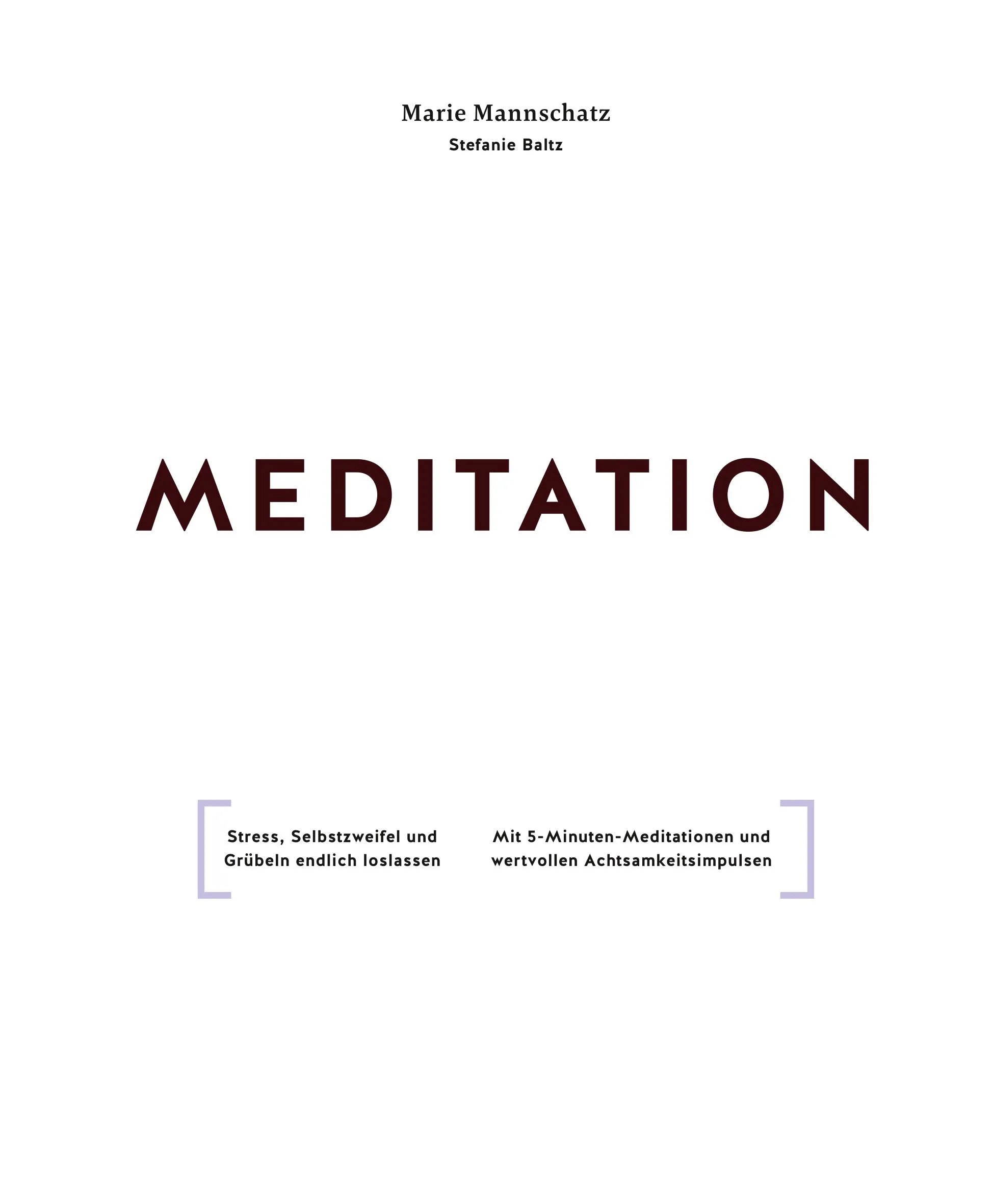 Produktansicht: Meditation (Taschenbuch)