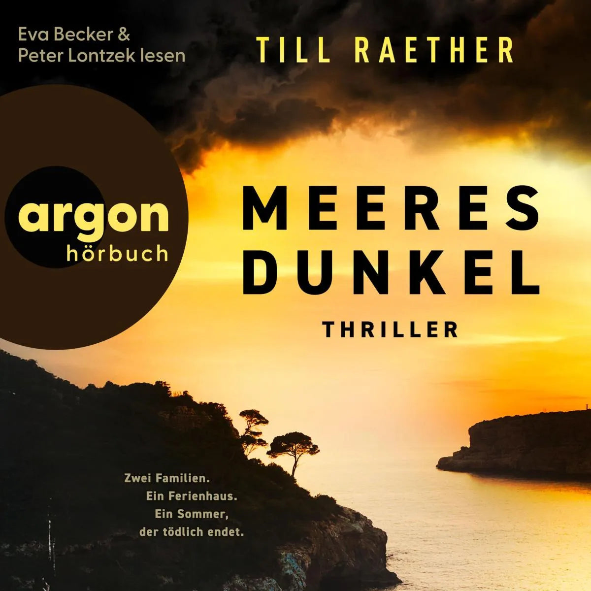 Cover: Meeresdunkel (Hörbuch Download) von Till Raether