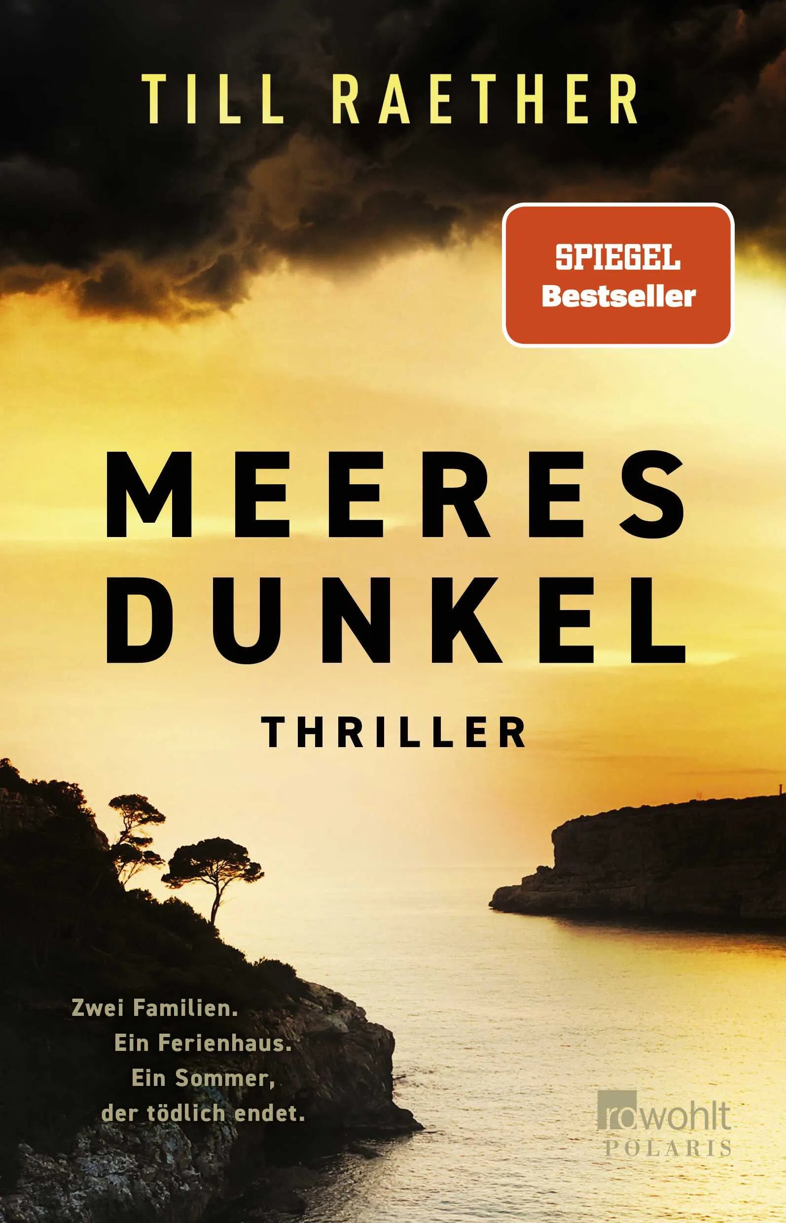 Cover: Meeresdunkel (Paperback) von Till Raether