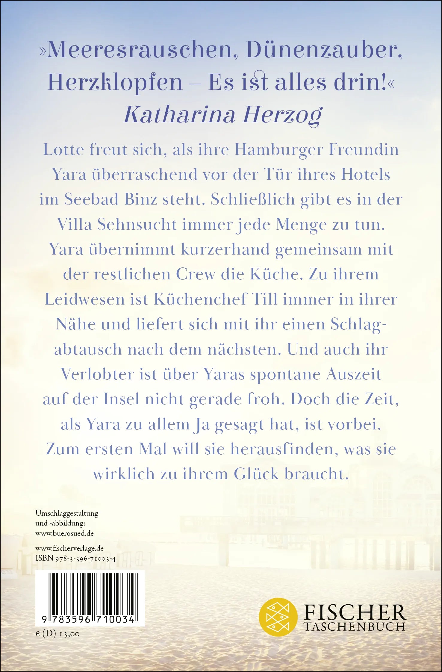 Buchrückseite von 'Meeresleuchten in der Villa Sehnsucht' mit Klappentext - Taschenbuch