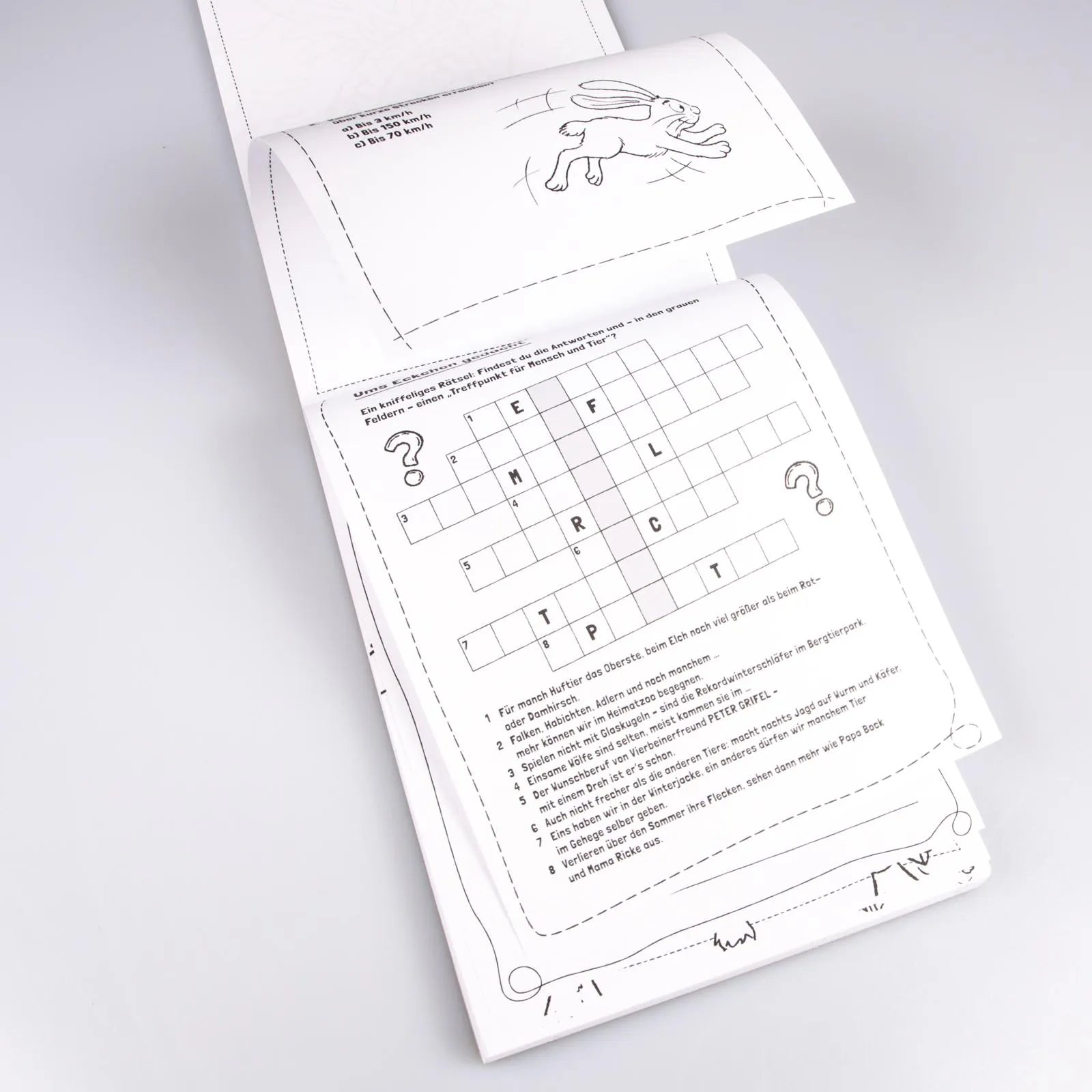 Produktansicht: Mega Rätselblock – Kreuzworträtsel, Quizfragen, Knobeleien, Wörterrätsel, Zahlenrätsel (Taschenbuch)