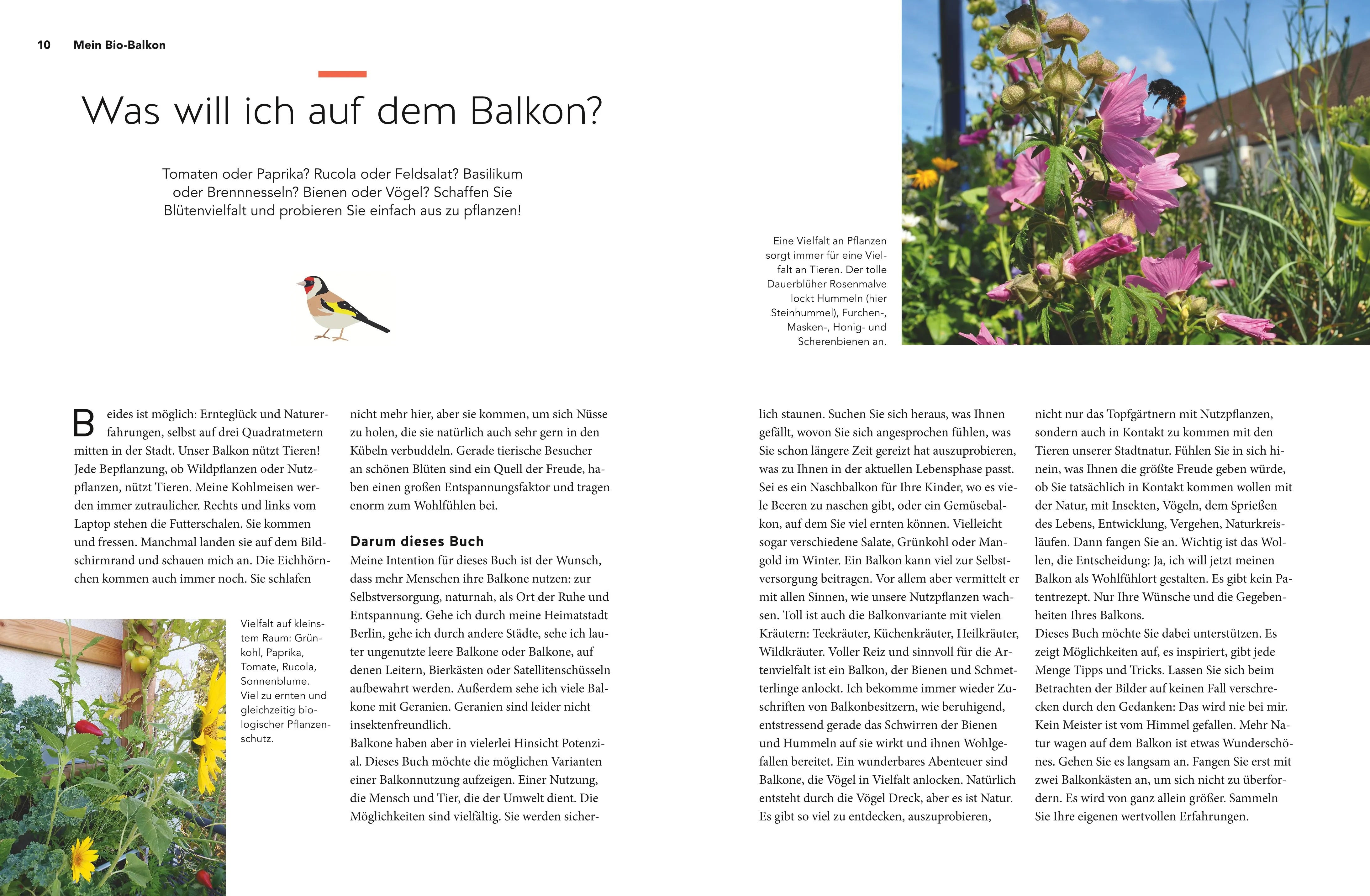 Birgit Schattling - Mein Biotop auf dem Balkon