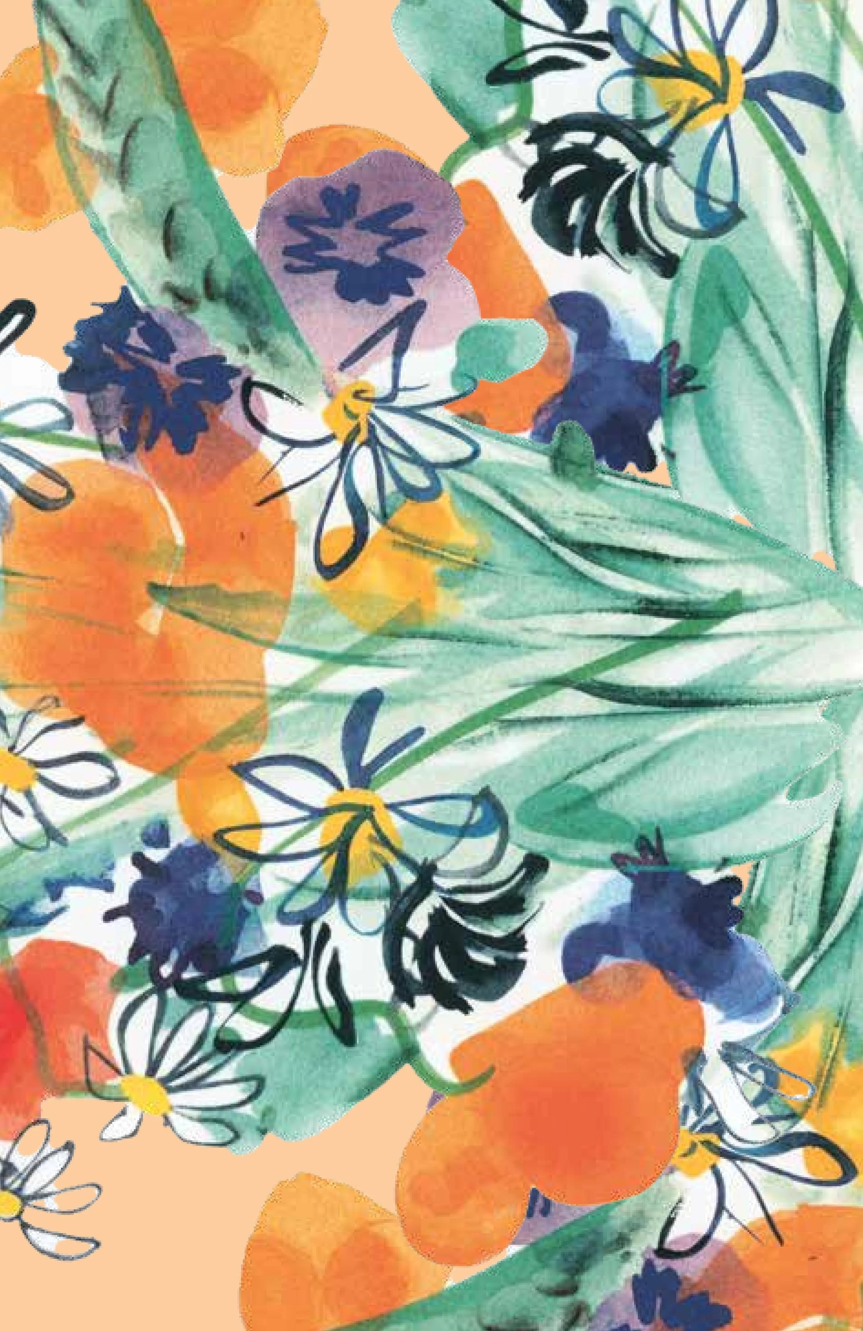 Buchrückseite von 'Mein Blumenalbum' mit Klappentext - Gebundene Ausgabe