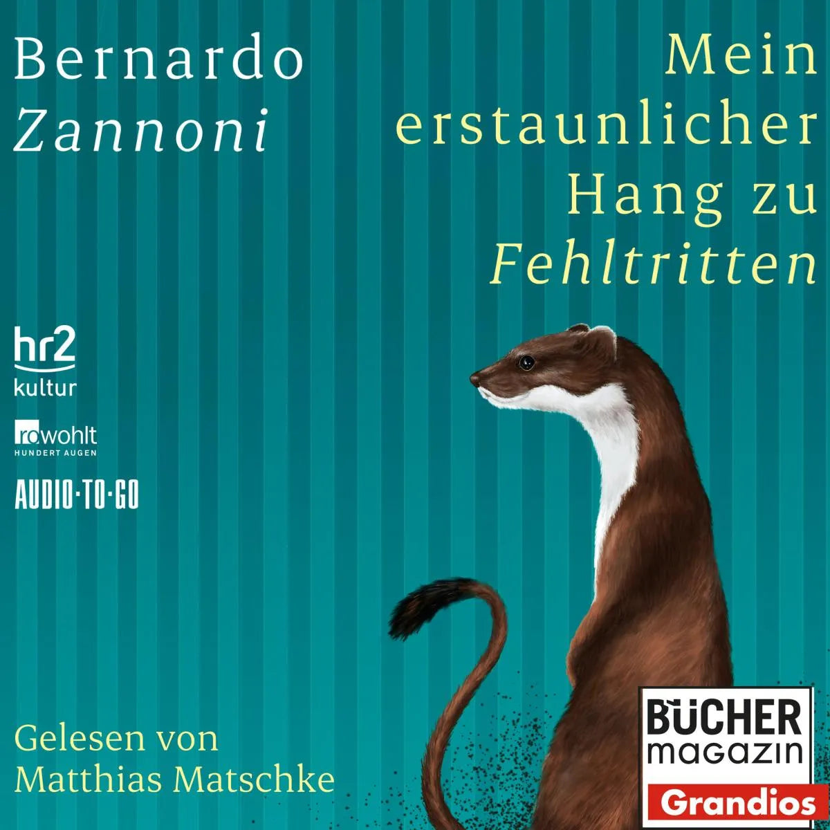 Cover: Mein erstaunlicher Hang zu Fehltritten (Hörbuch Download) von Bernardo Zannoni