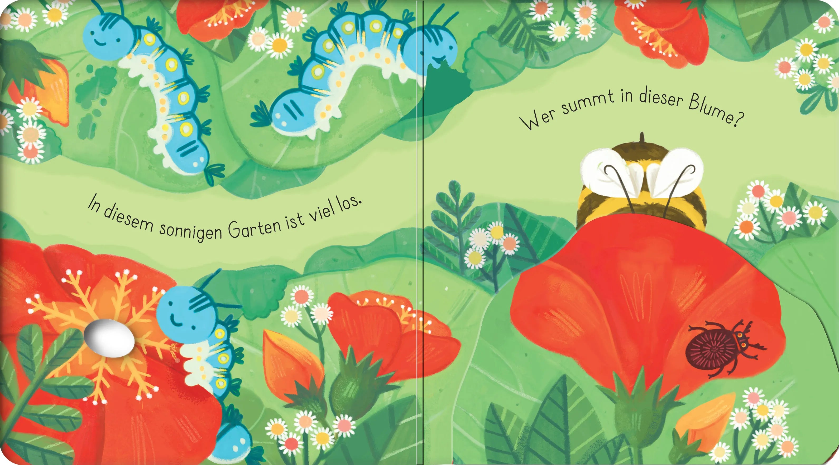 Anna Milbourne - Mein erstes Entdecker-Klappenbuch: Kleine Biene im Garten