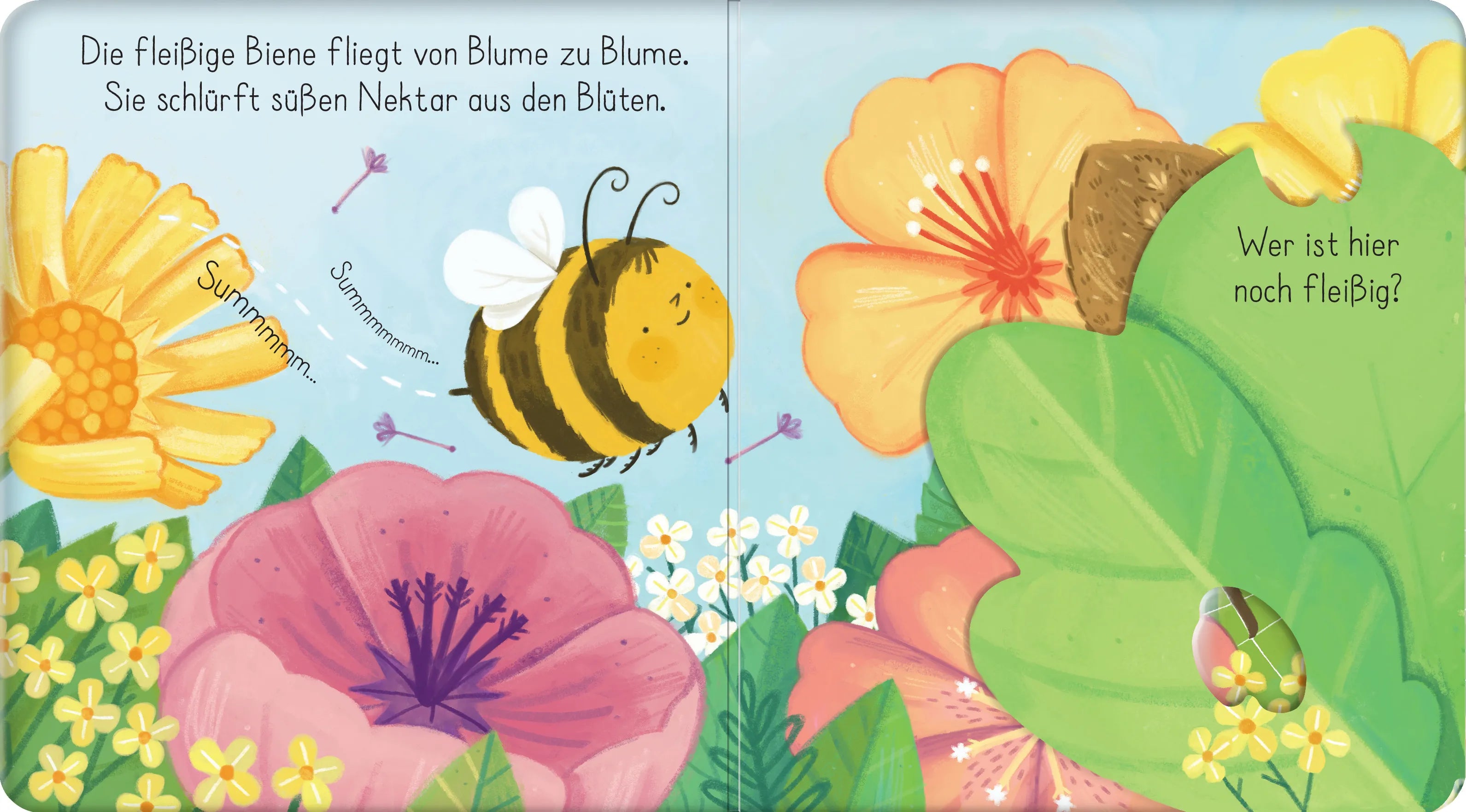 Abbildung von 'Mein erstes Entdecker-Klappenbuch: Kleine Biene im Garten'