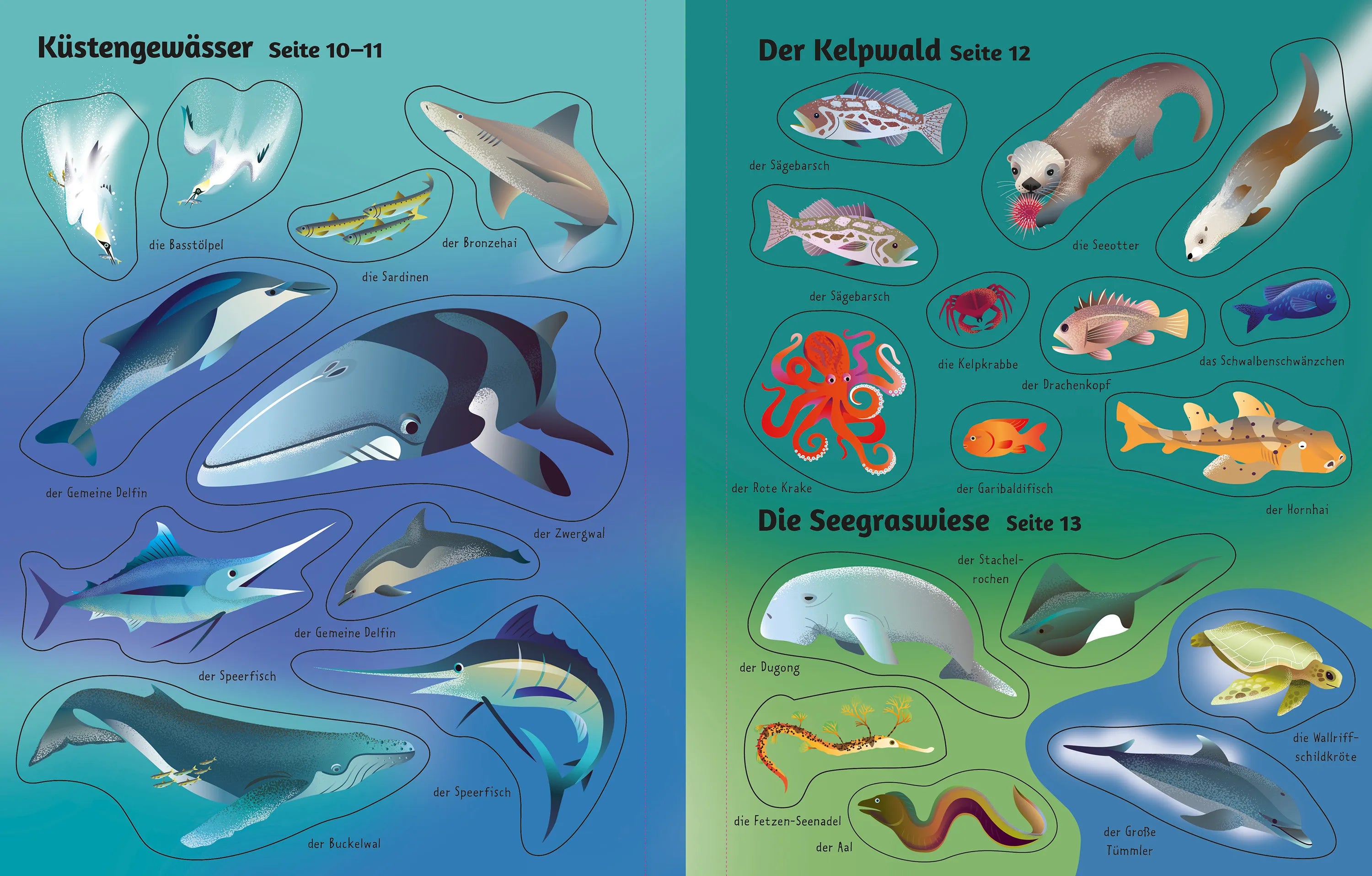 Produktansicht: Mein erstes Stickerbuch: Leben im Meer (Taschenbuch)