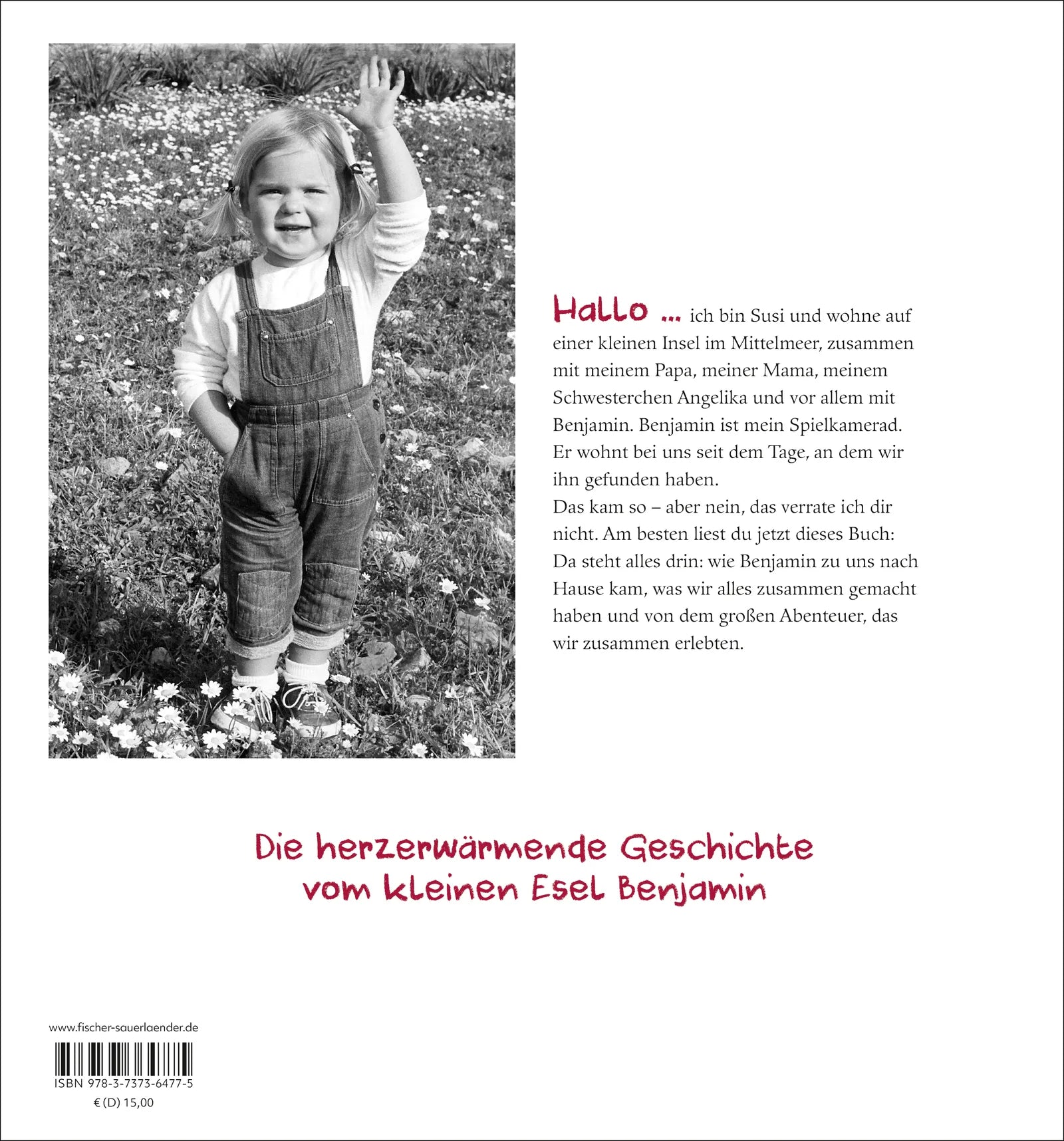 Buchrückseite von 'Mein Esel Benjamin' mit Klappentext - Gebundene Ausgabe