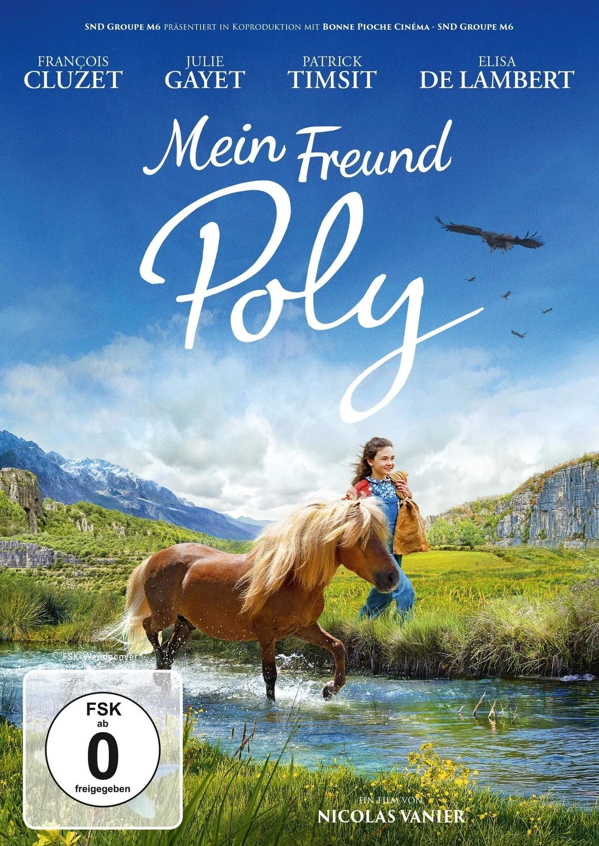 Mein Freund Poly - DVD