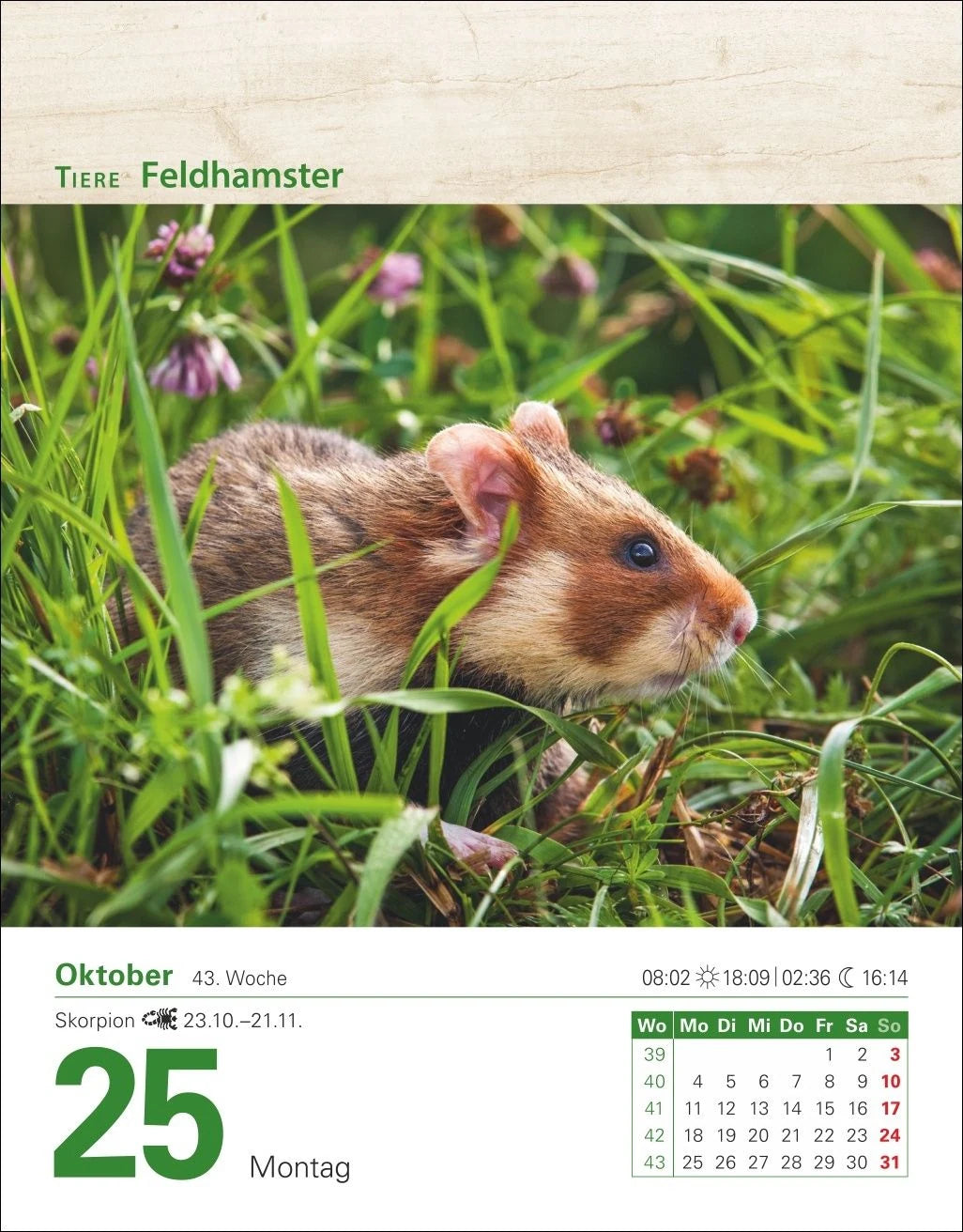 Mein Garten Tagesabreißkalender 2027 - Praktische Tipps für 2027 – Ansicht