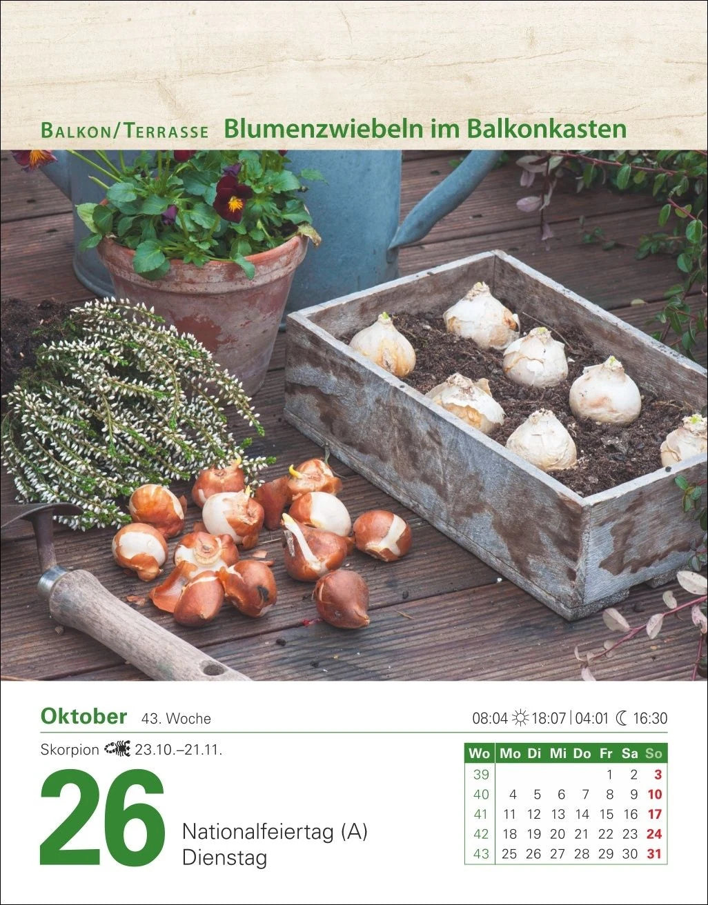 Mein Garten Tagesabreißkalender 2027 - Praktische Tipps für 2027 – Ansicht