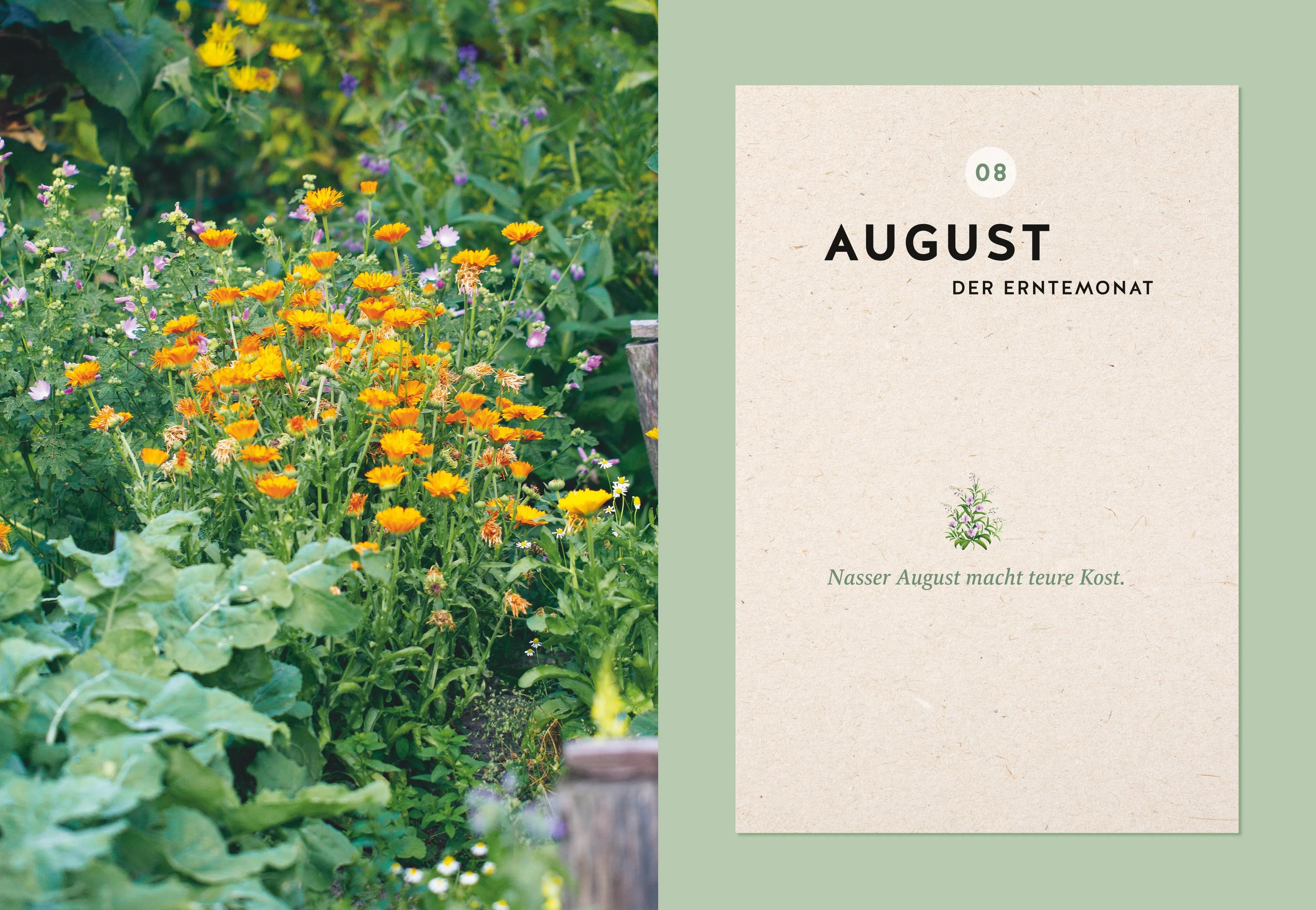 Produktansicht: Mein Gartenkalender 2024 (Gebundene Ausgabe)