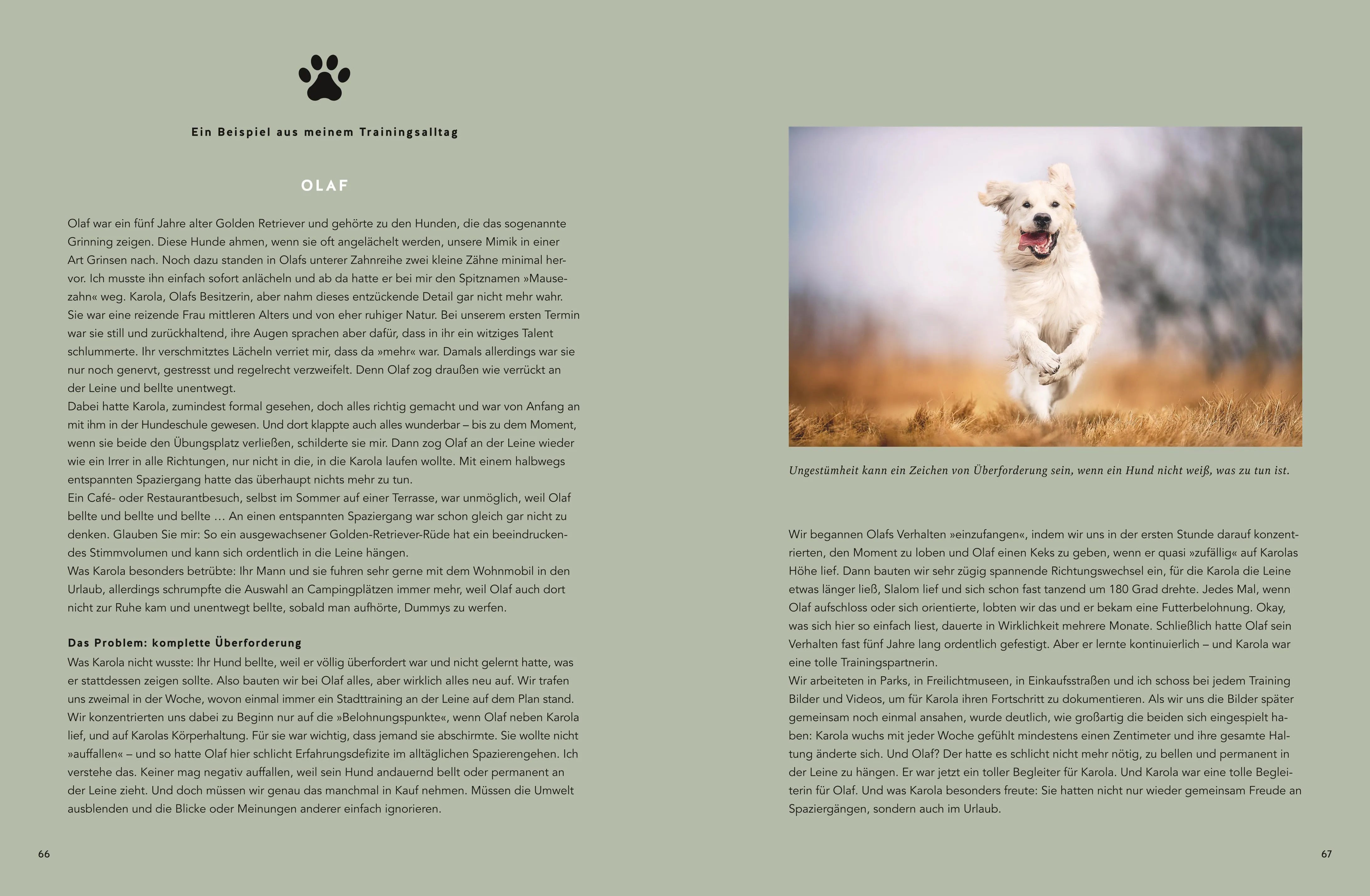 Abbildung von 'Mein Herz schlägt Hund'