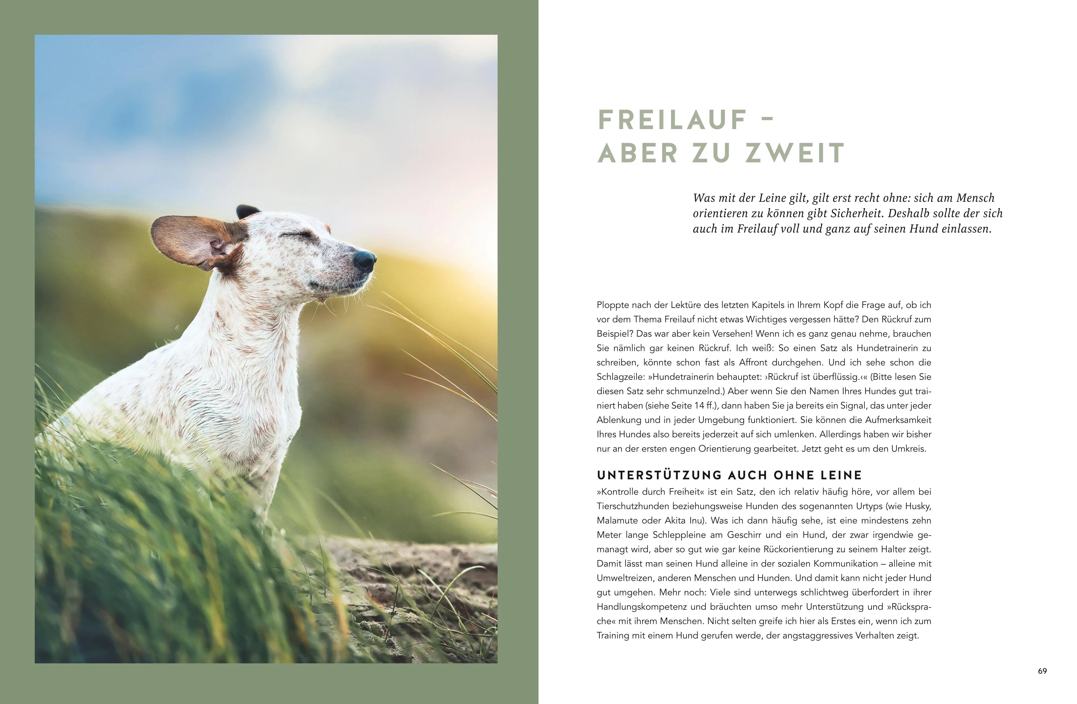 Produktansicht: Mein Herz schlägt Hund (Gebundene Ausgabe)