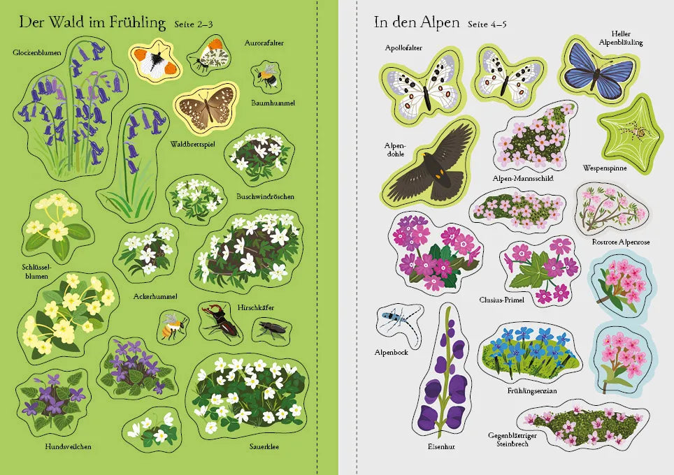 Caroline Young - Mein Immer-wieder-Stickerbuch: Wildblumen