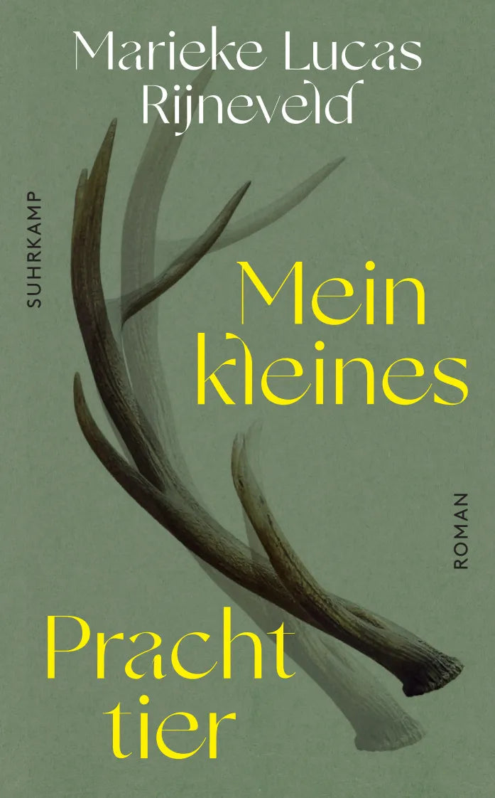 Buchcover von 'Mein kleines Prachttier' - Taschenbuch von Lucas Rijneveld