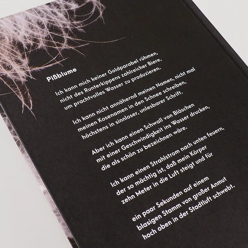 Jo Shapcott - Mein Leben im Schlaf