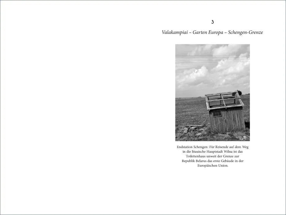 Produktansicht: Mein litauischer Führerschein (Taschenbuch)