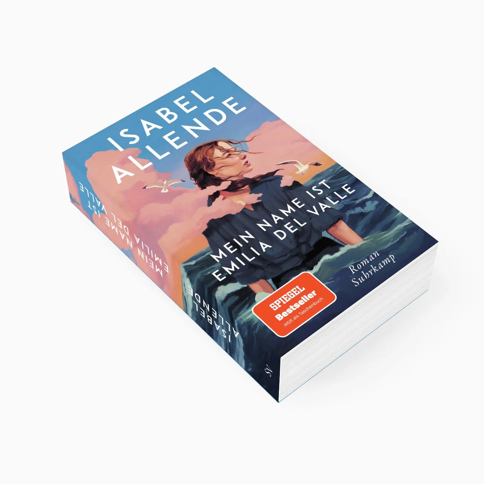 Detailansicht: Mein Name ist Emilia del Valle (Taschenbuch)