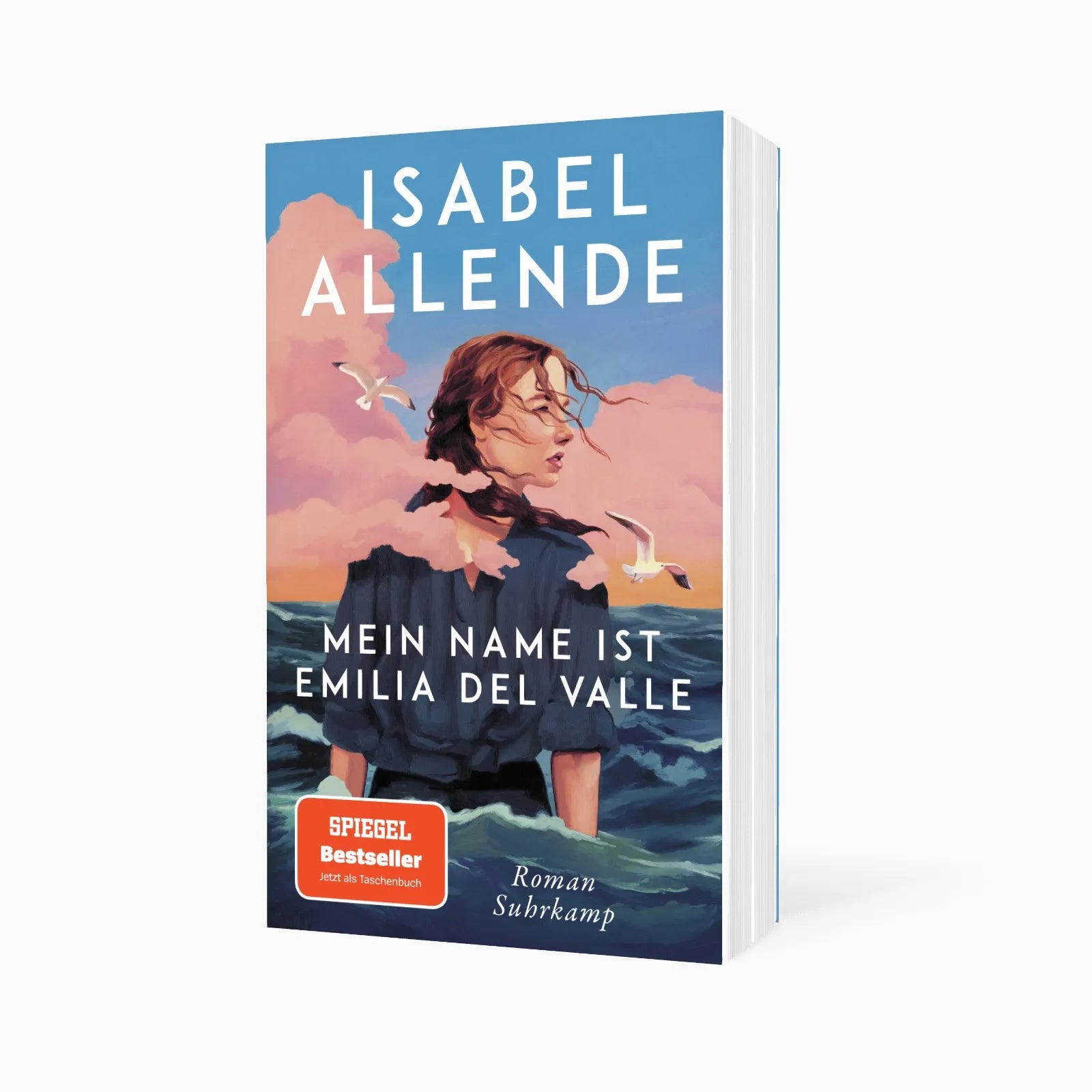 Detailansicht: Mein Name ist Emilia del Valle (Taschenbuch)