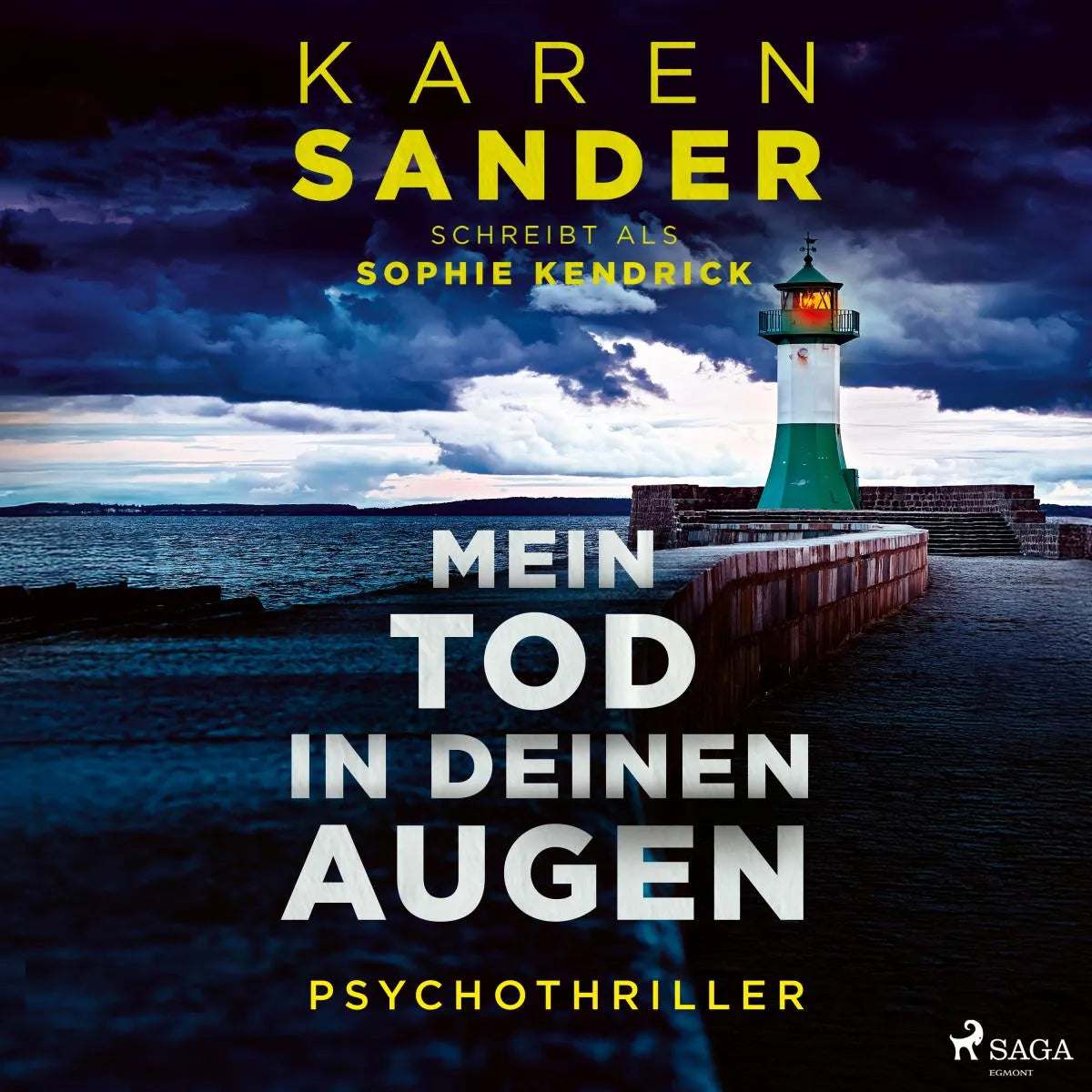 Cover: Mein Tod in deinen Augen (Hörbuch Download) von Karen Sander
