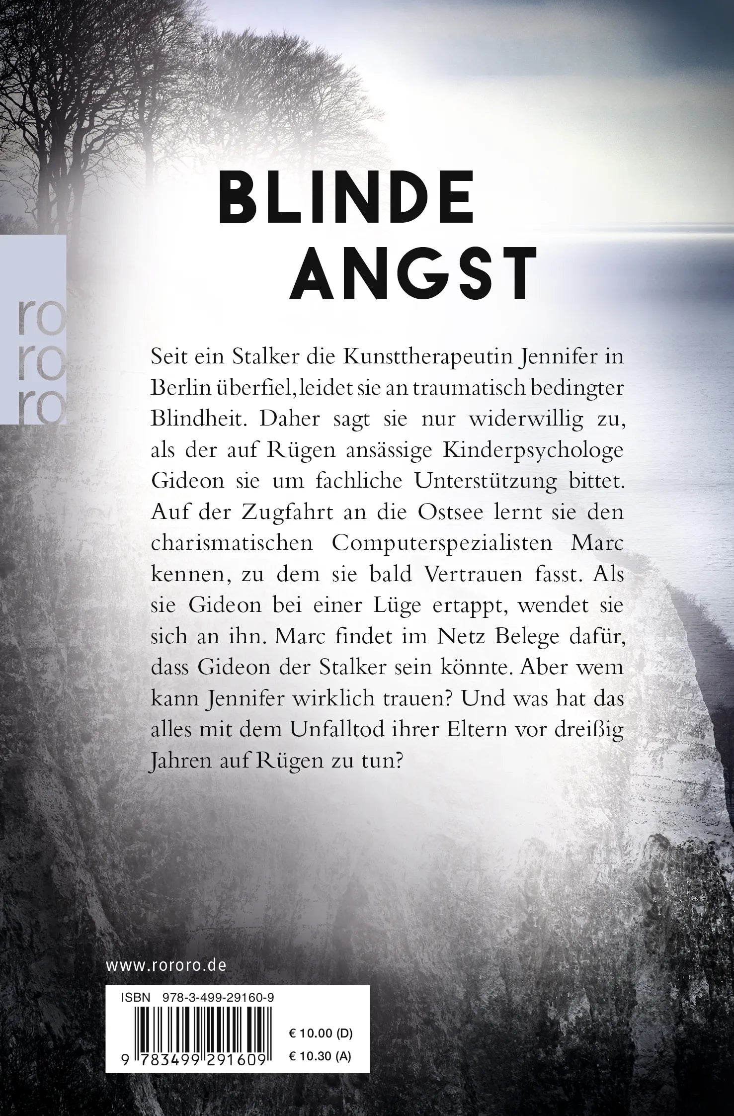 Buchrückseite von 'Mein Tod in deinen Augen' mit Klappentext - Taschenbuch