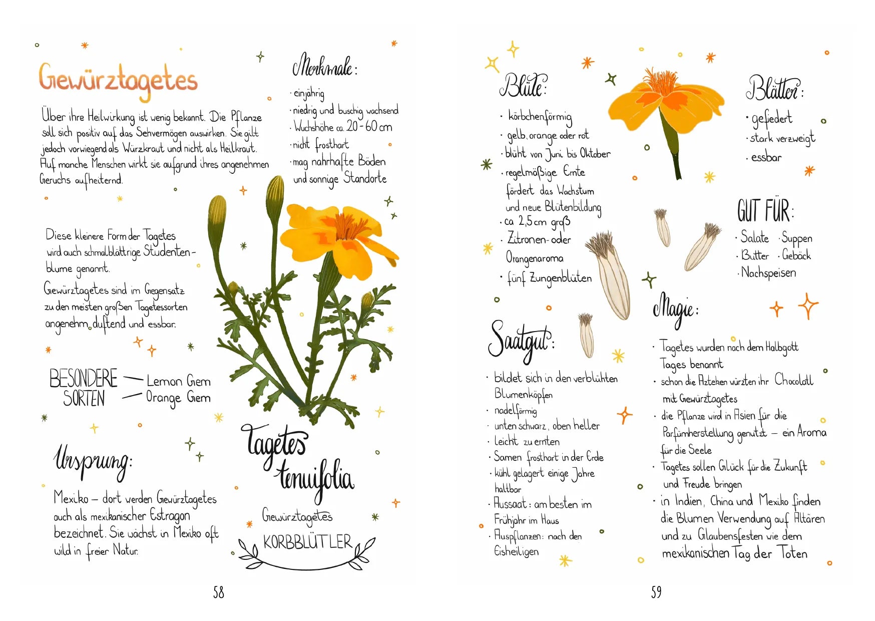 Innenansicht von 'Meine liebsten Gartenpflanzen' - Taschenbuch