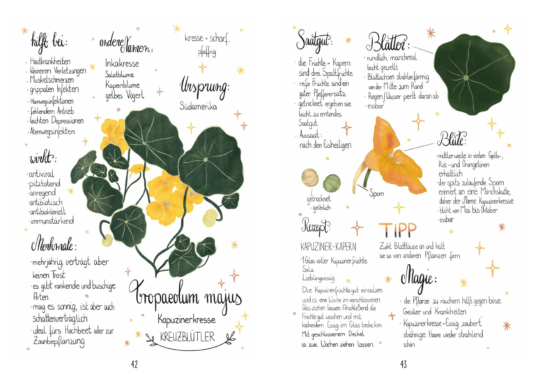 Innenansicht von 'Meine liebsten Gartenpflanzen' - Taschenbuch
