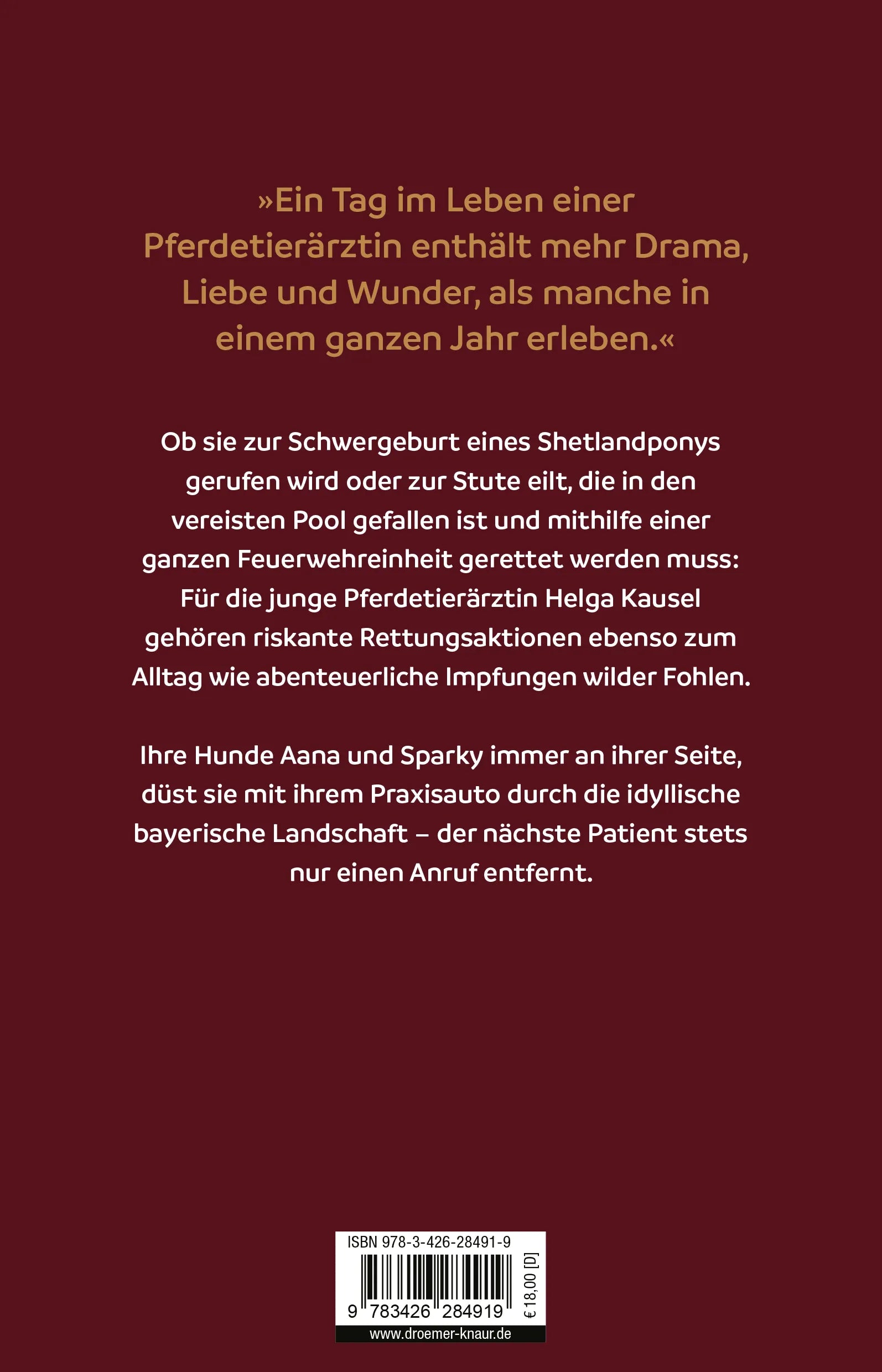 Buchrückseite von 'Meine Patienten laufen Trab' mit Klappentext - Paperback