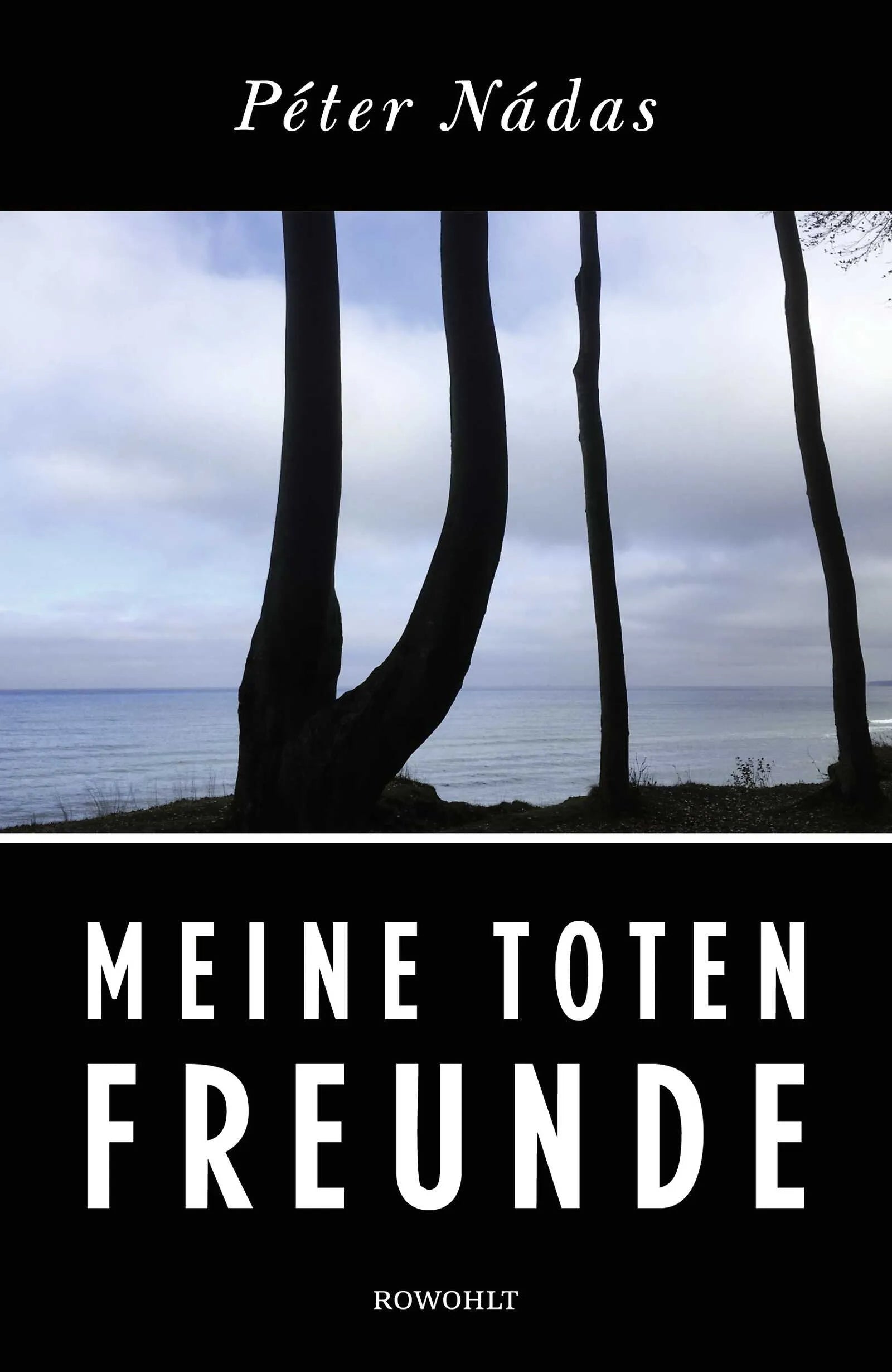 Cover: Meine toten Freunde (Hardcover) von Péter Nádas