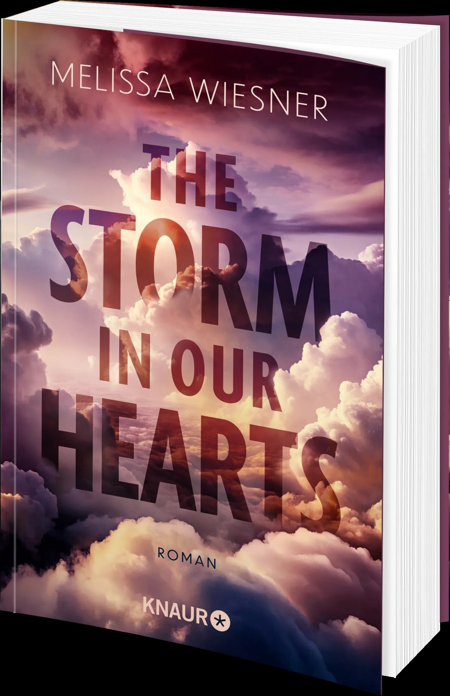 Produktansicht: The Storm in Our Hearts (Taschenbuch)