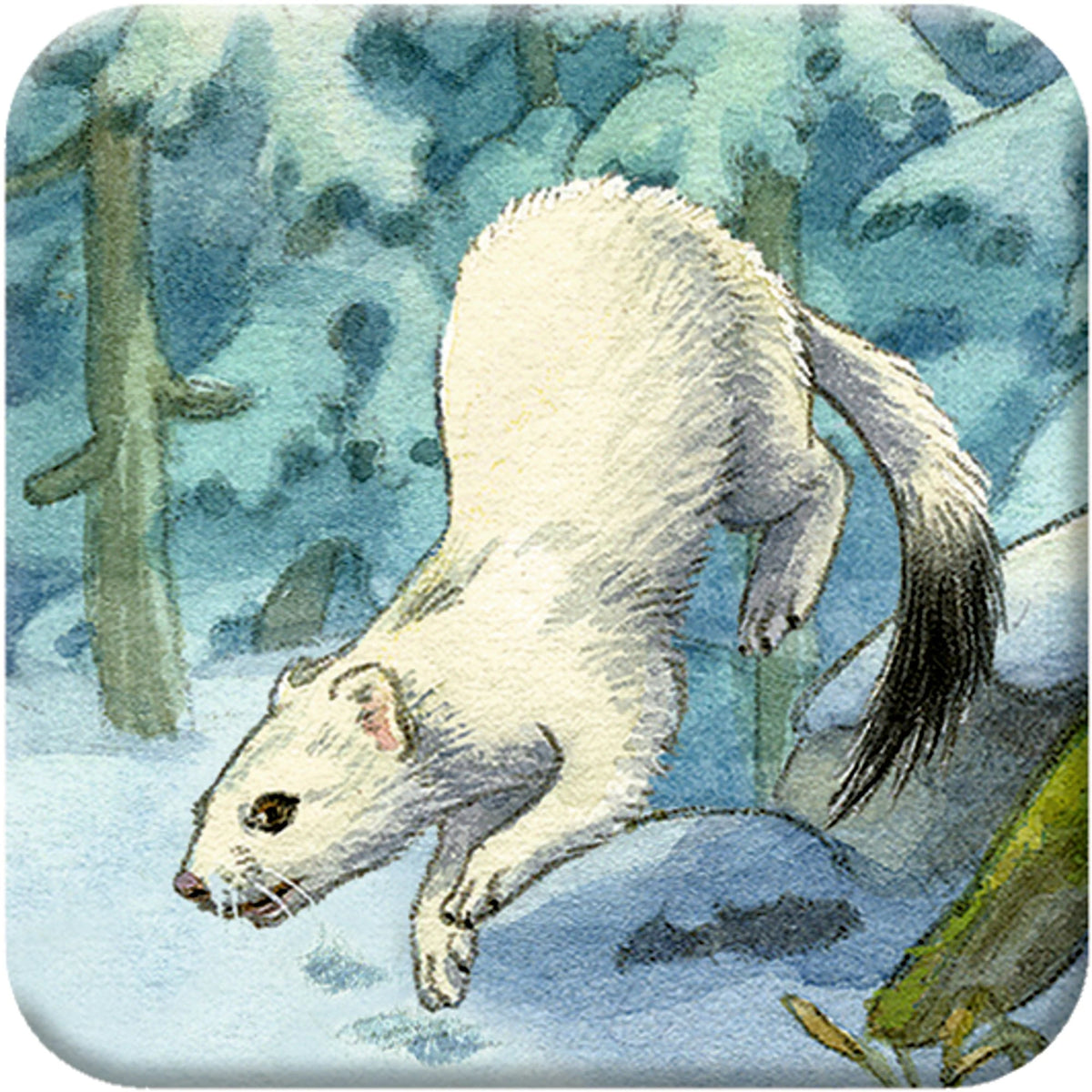Memo-Adventskalender – Die Tiere im Winterwald – Ansicht