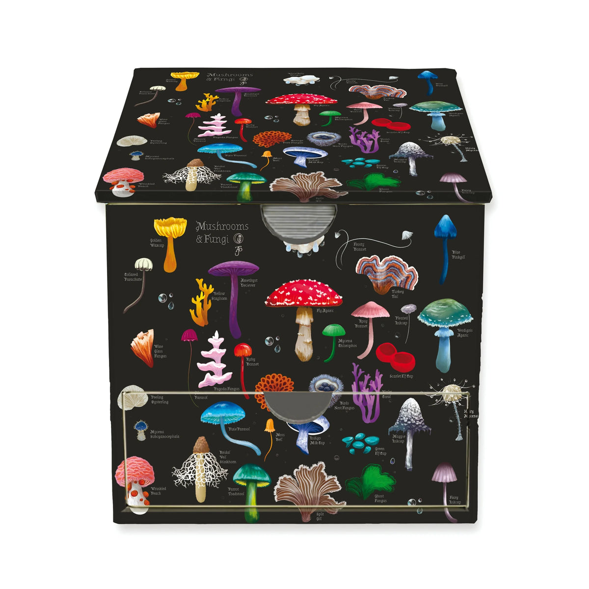 Gesellschaftsspiel: Memo Cube: Anna Stead, Champignons und Pilze
