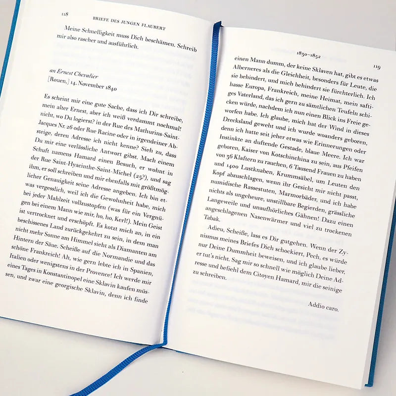 Gustave Flaubert - Memoiren eines Irren