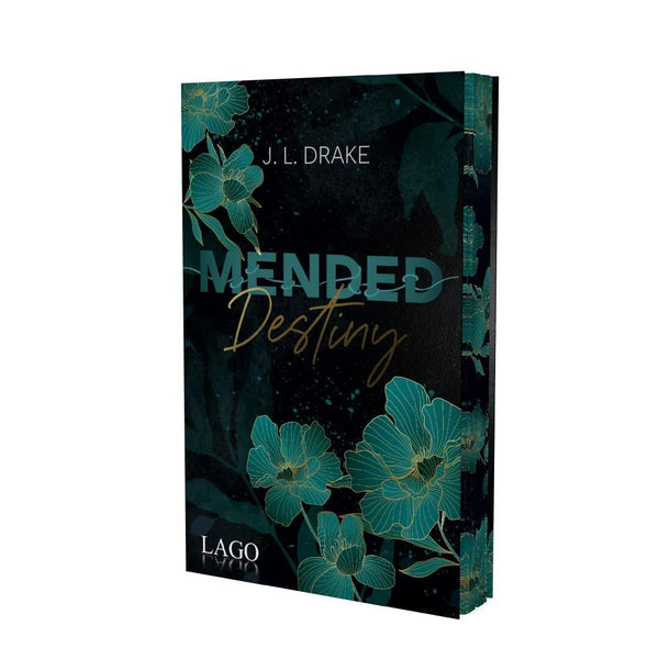 Mended Destiny