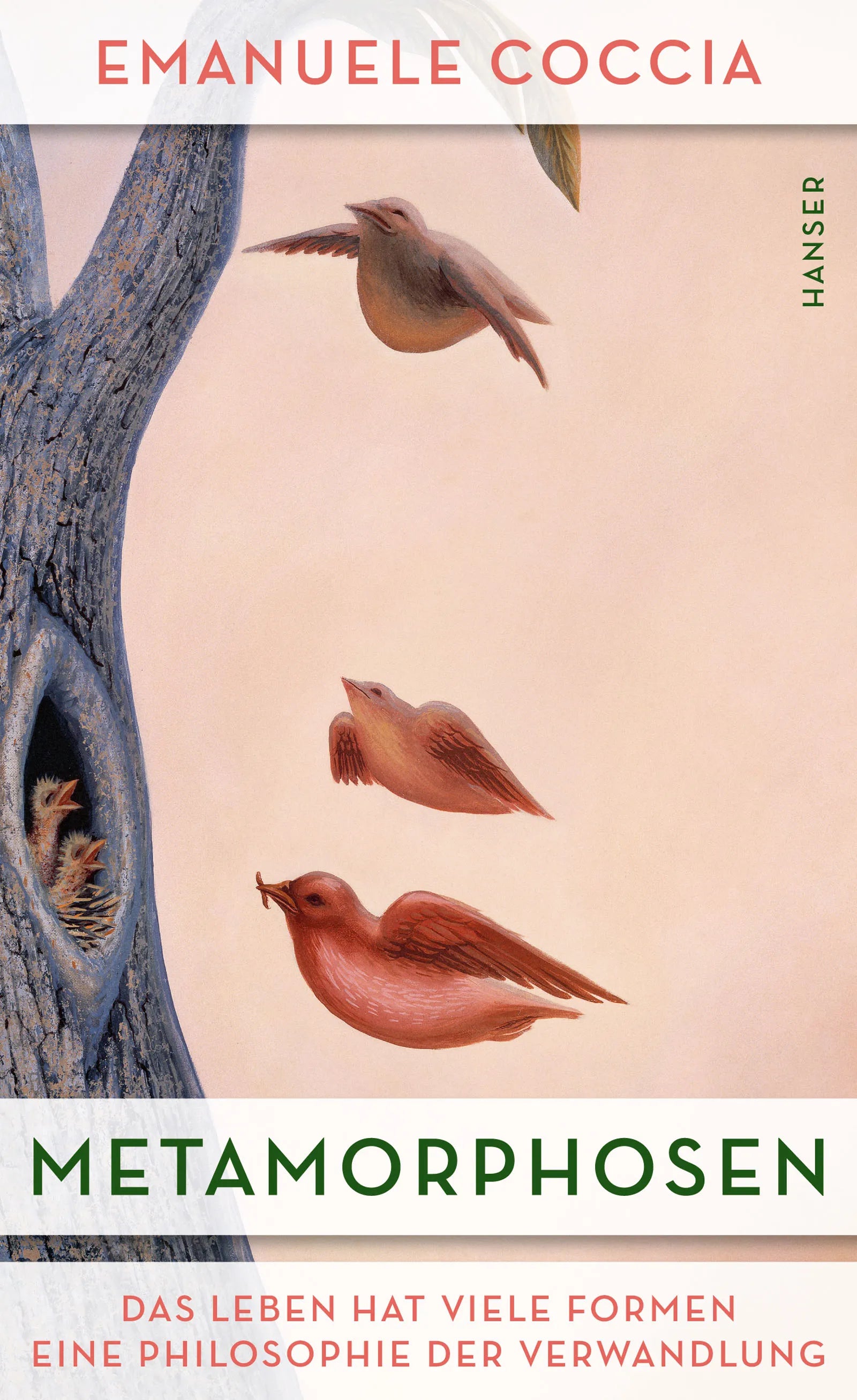 Buchcover von 'Metamorphosen' - Gebundene Ausgabe von Emanuele Coccia