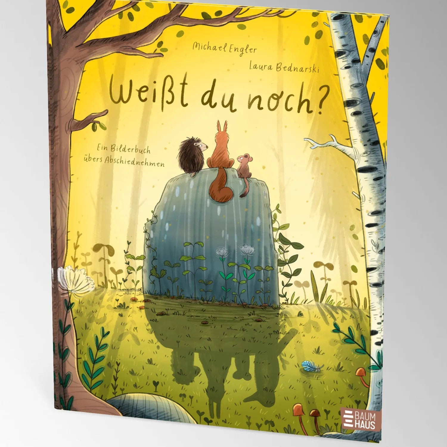 Produktansicht: Weißt du noch? Ein Bilderbuch vom Abschiednehmen (Gebundene Ausgabe)
