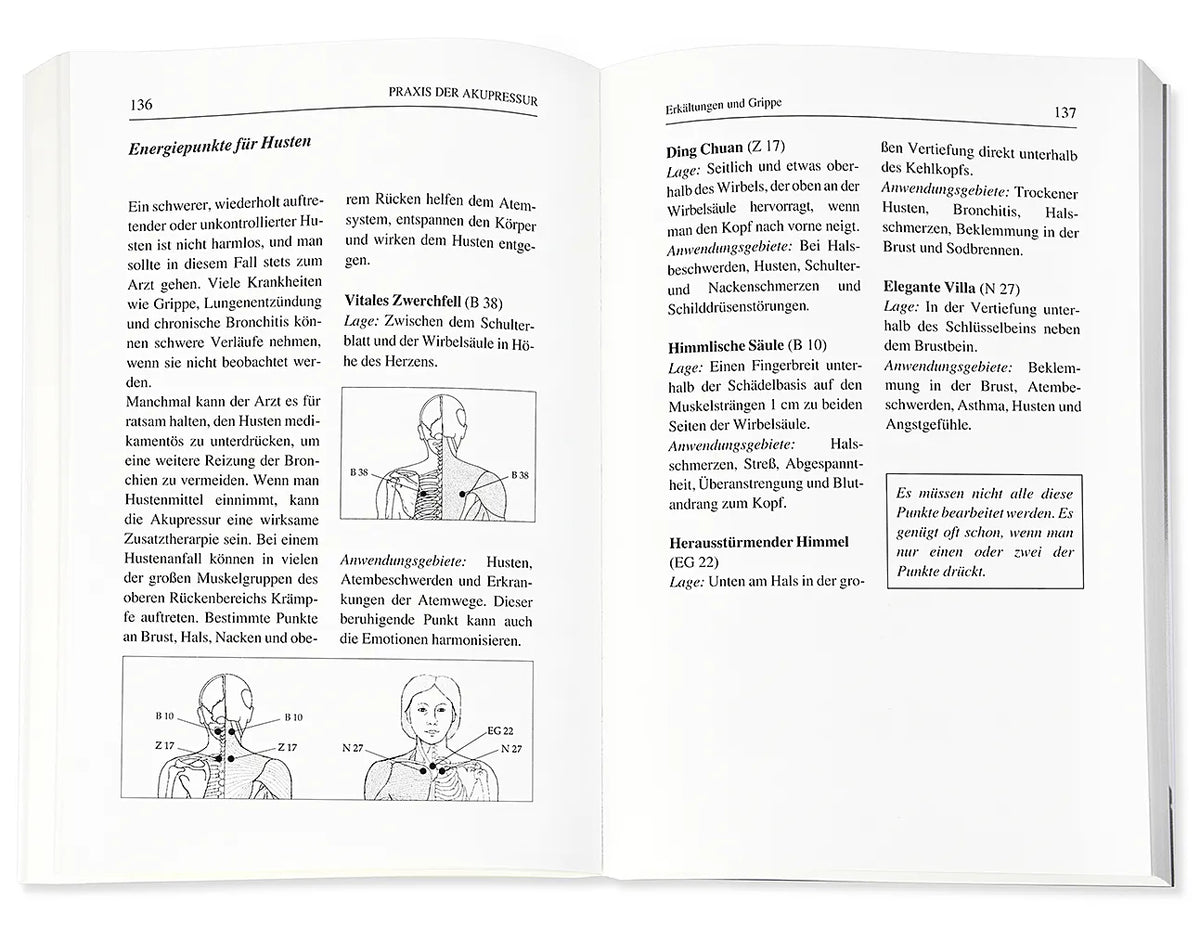 Produktansicht: Heilende Punkte (Taschenbuch)