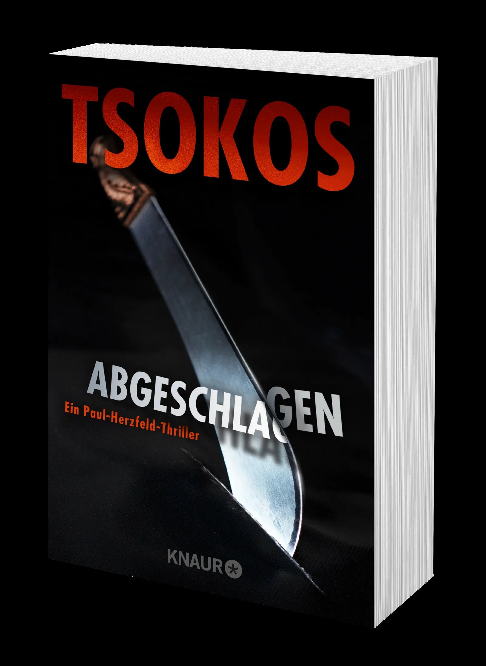 Produktansicht: Abgeschlagen (Taschenbuch)