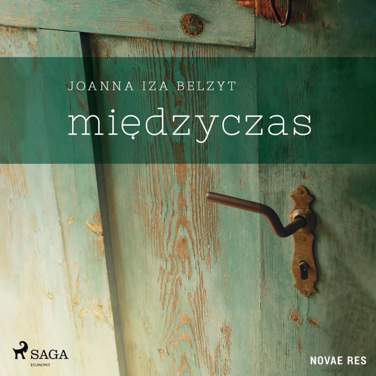 Cover: Międzyczas (Hörbuch Download) von Joanna Iza Belzyt