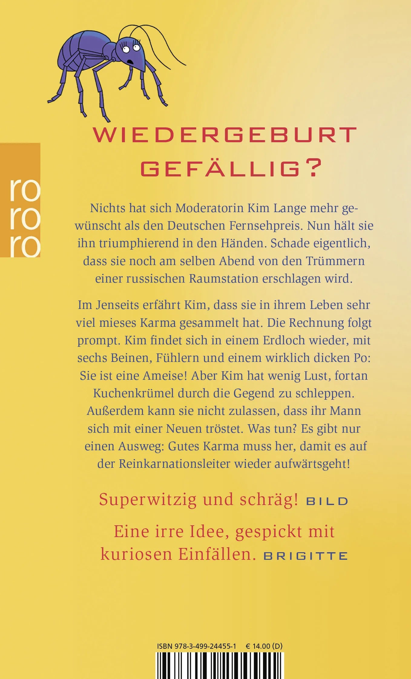 Buchrückseite von 'Mieses Karma' mit Klappentext - Taschenbuch
